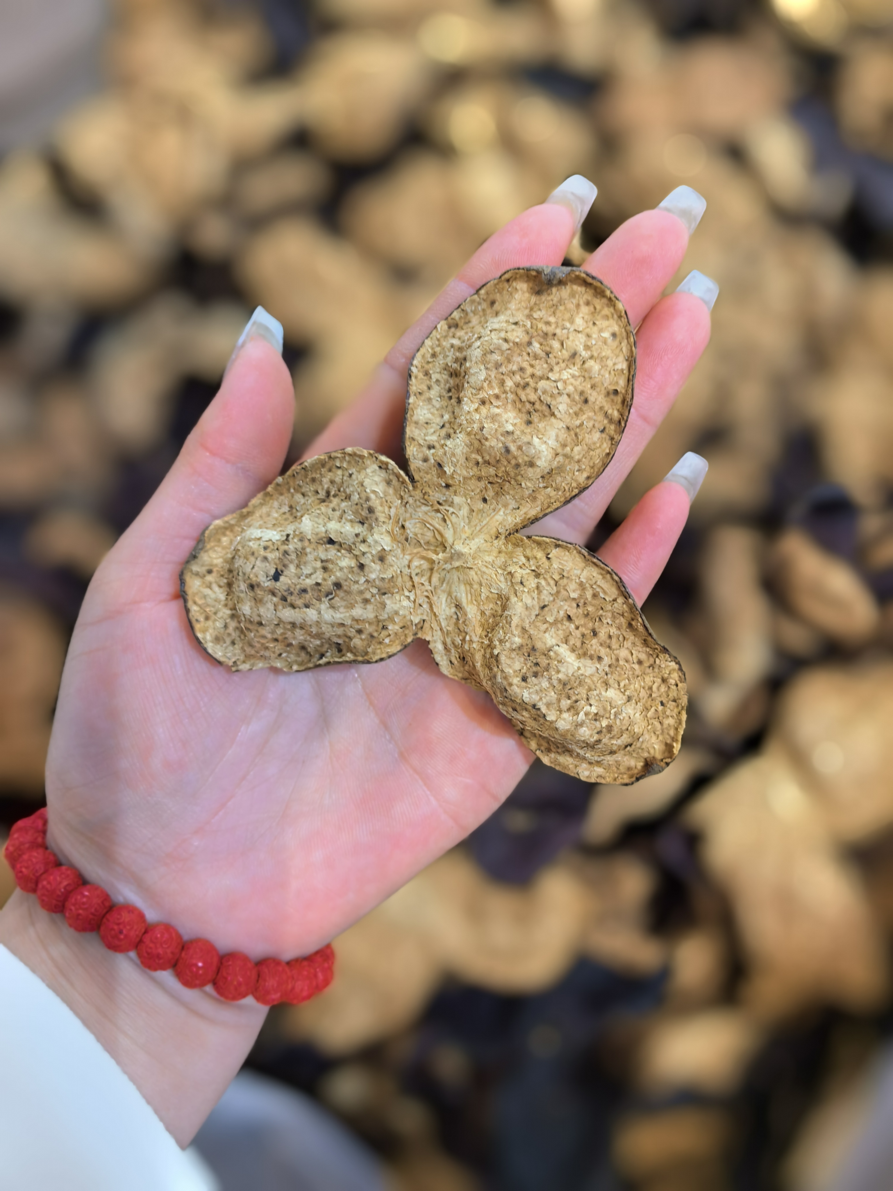 碧峰岩茶叶：探秘高山云雾中的茶香传奇(图1)