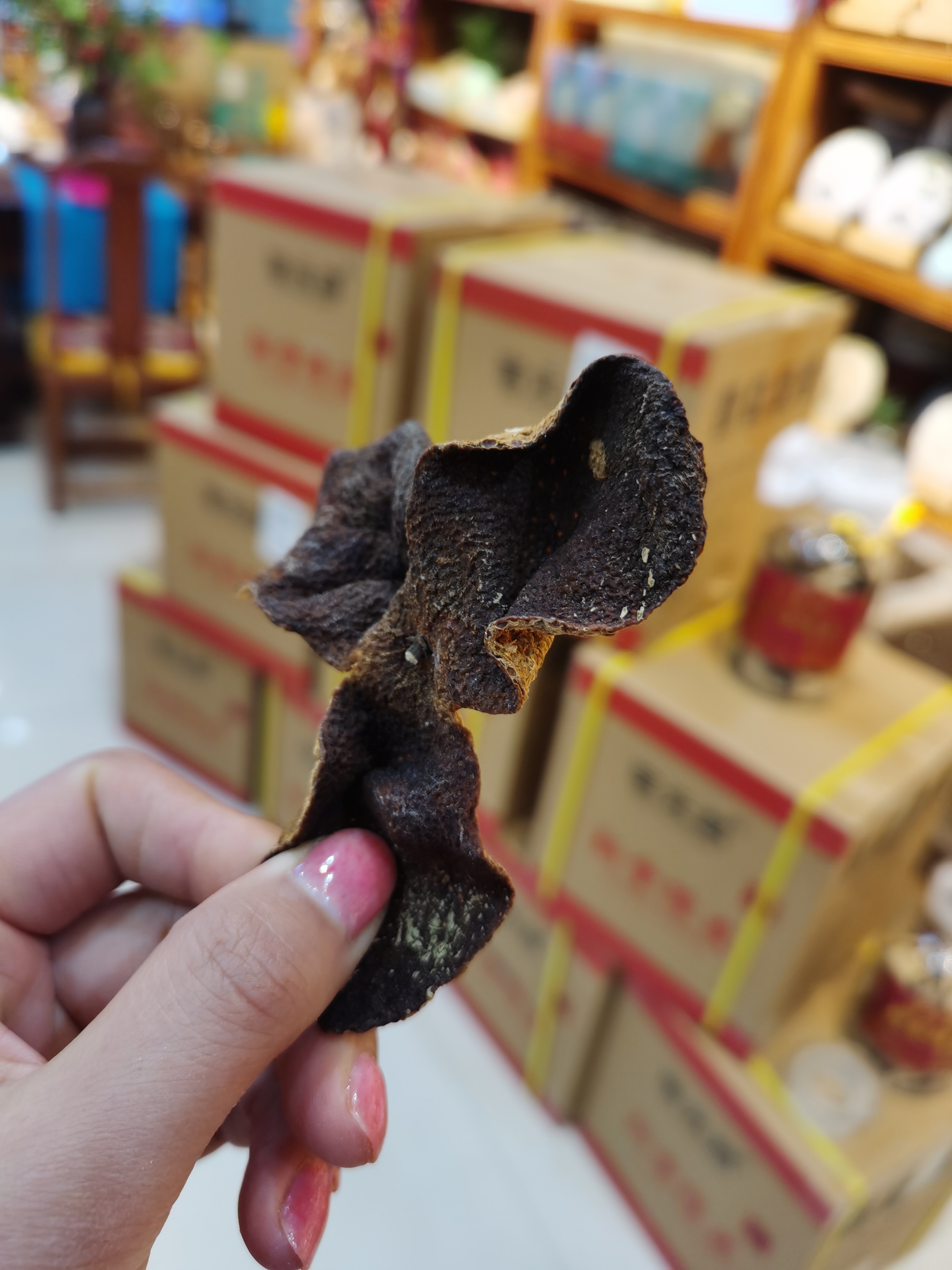 普陀山佛茶：禅意与自然的完美融合，品味千年茶文化(图1)