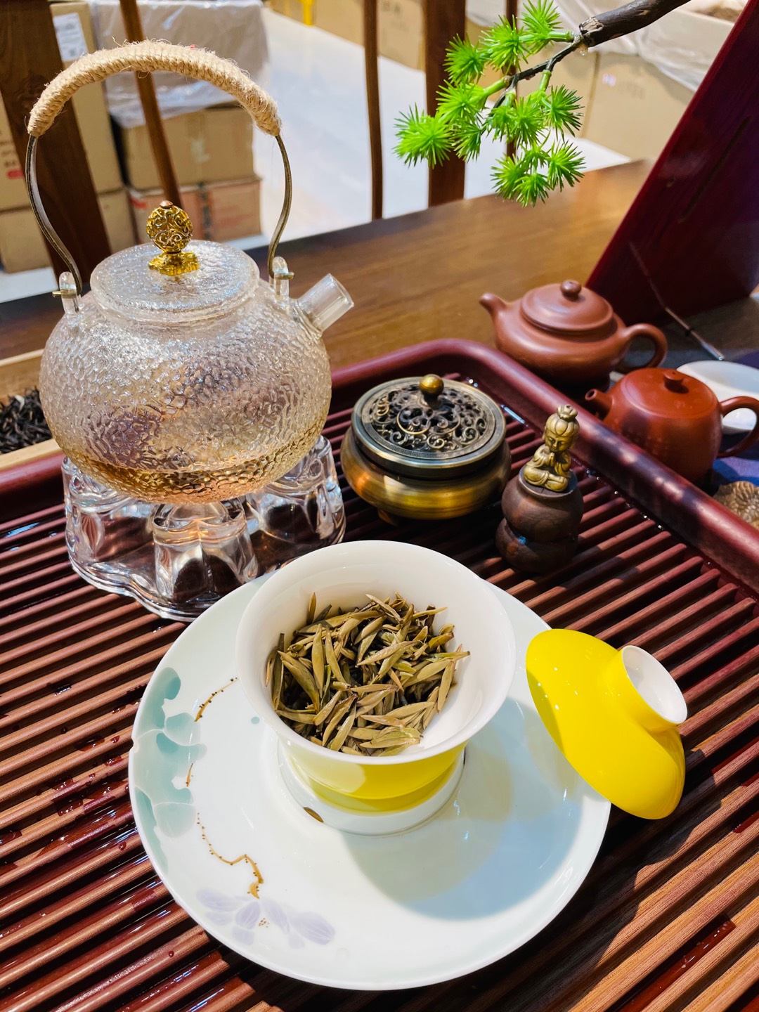 茶叶的性味解析：从寒性到温性，全面了解茶叶的养生特性(图1)