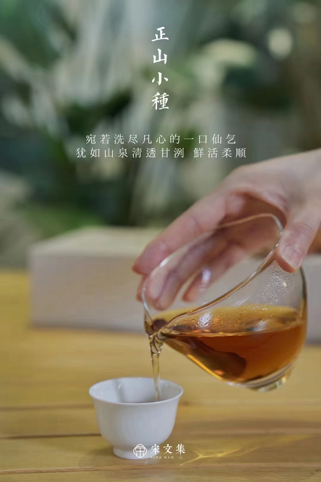 浙江丽水茶叶探秘：从高山云雾到杯中佳茗的完美旅程(图1)