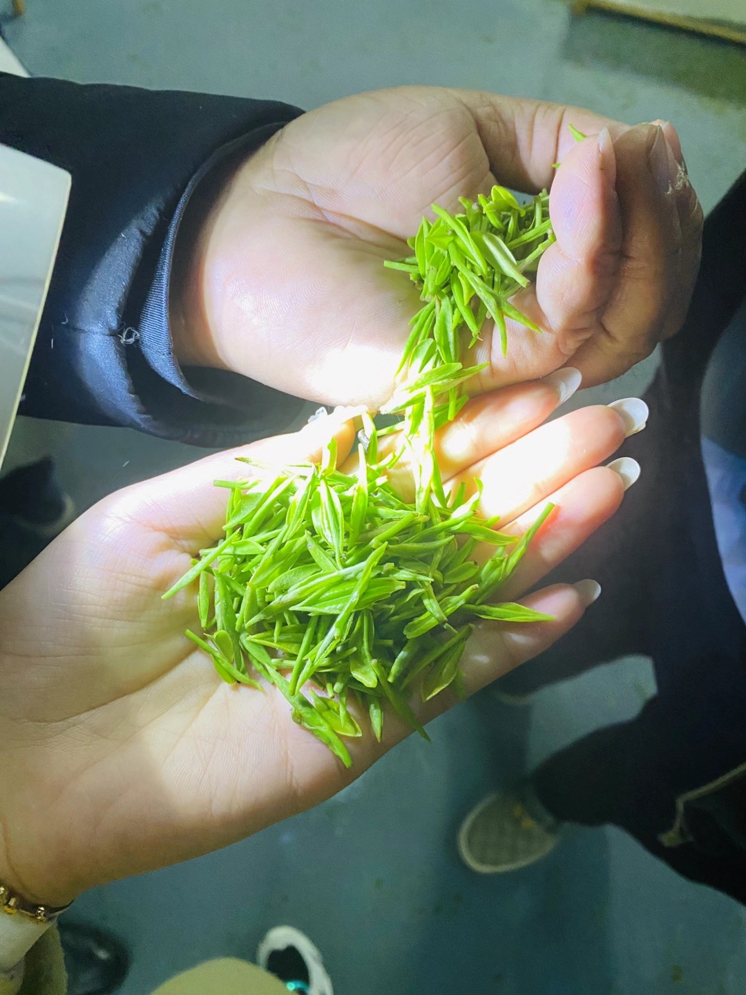 茶叶洗脸的真相：哪些茶叶适合用于面部护理？(图1)