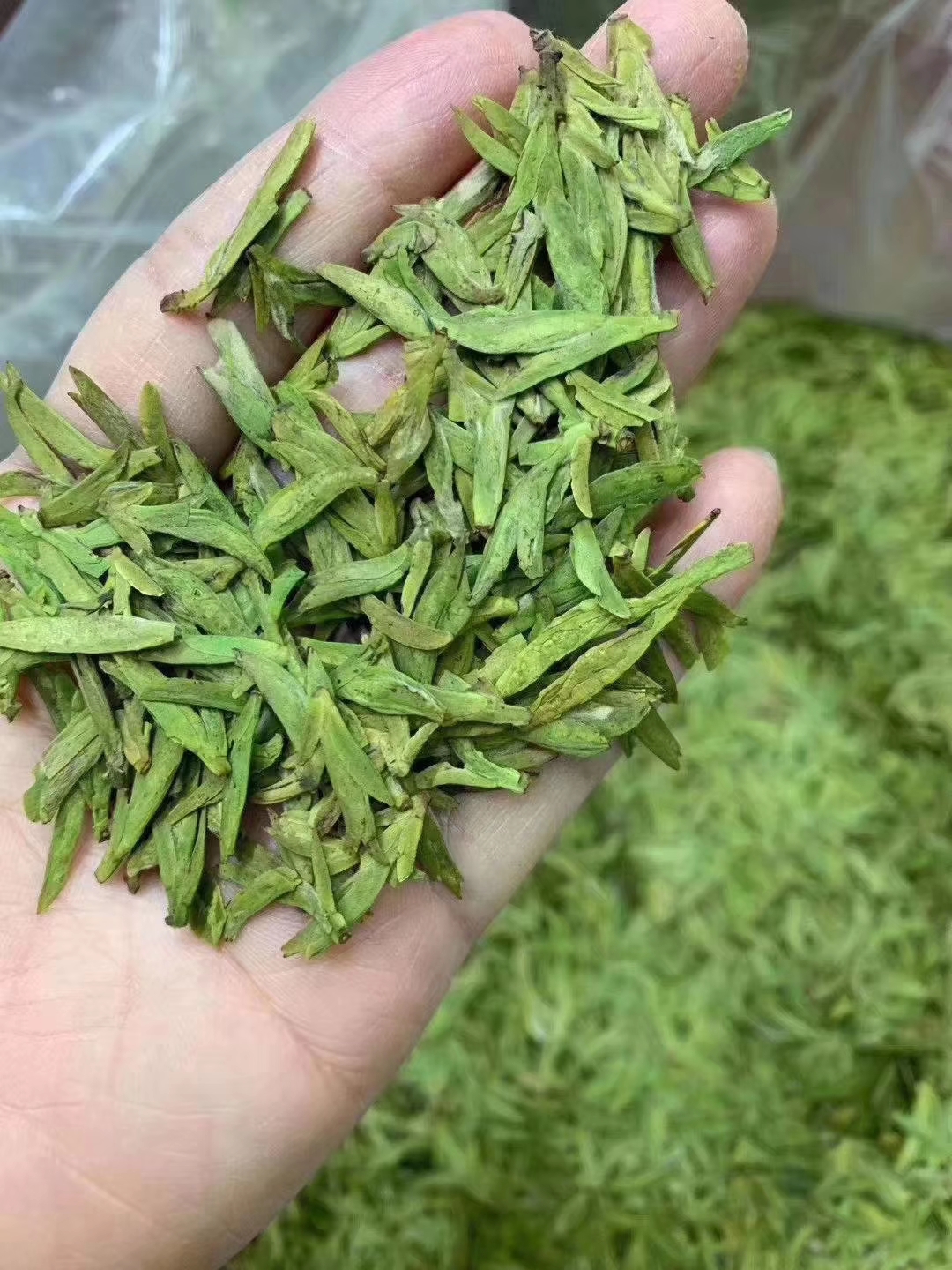 碧螺春茶叶全解析：品种、产地与独特制作工艺揭秘(图1)