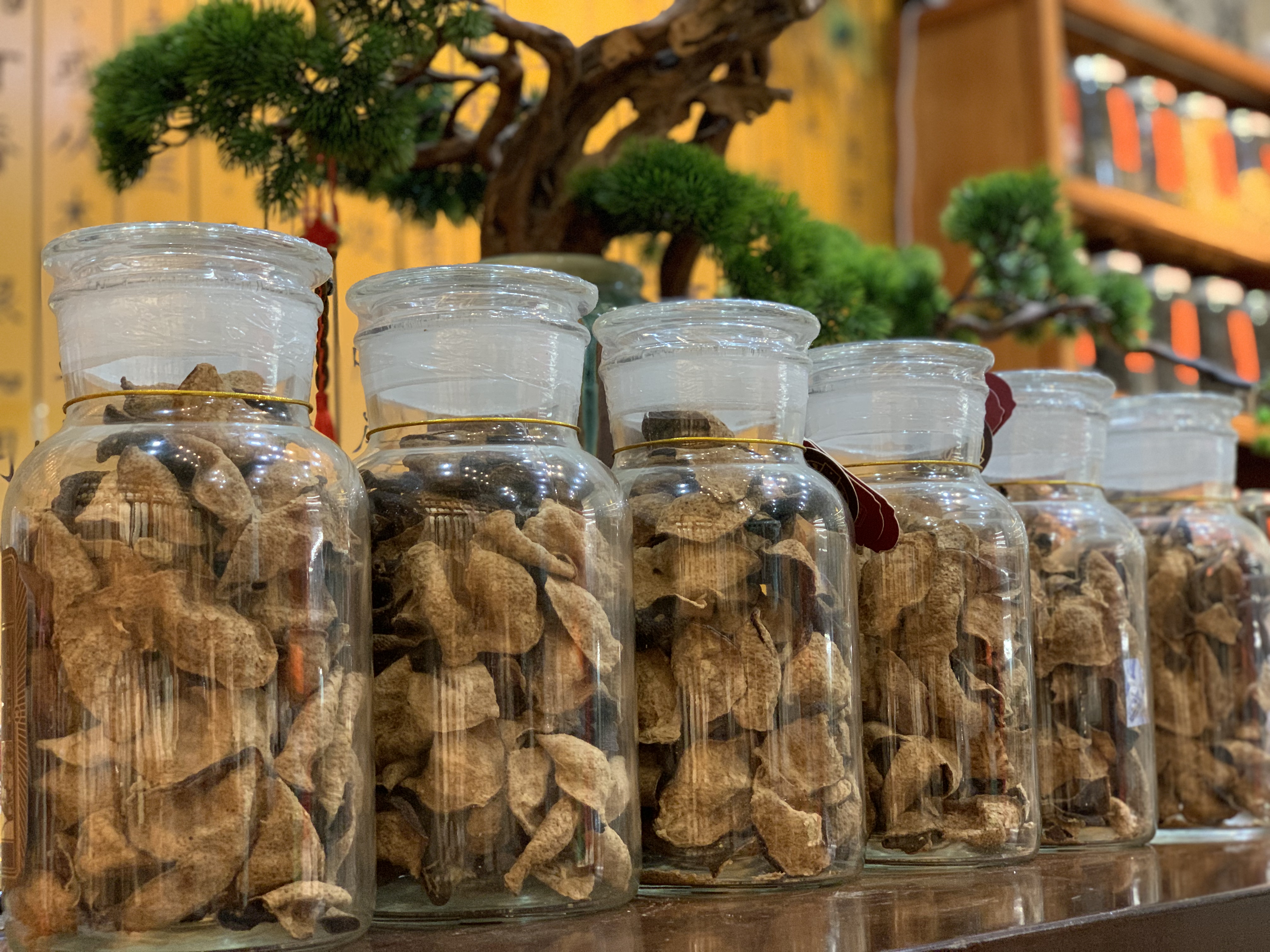 乌龙茶的全解析：从品种到品鉴，探索其独特风味与制作工艺(图1)