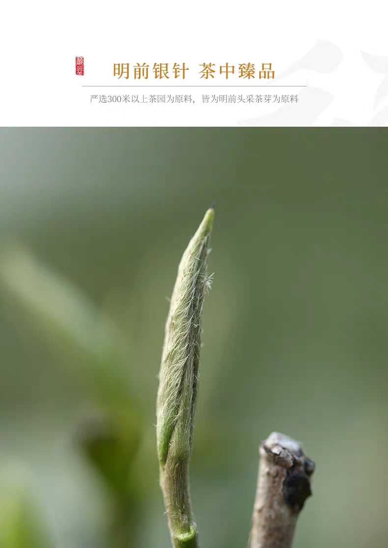 探秘云南十大名茶：从古树普洱到滇红金芽，品味云岭茶韵(图1)