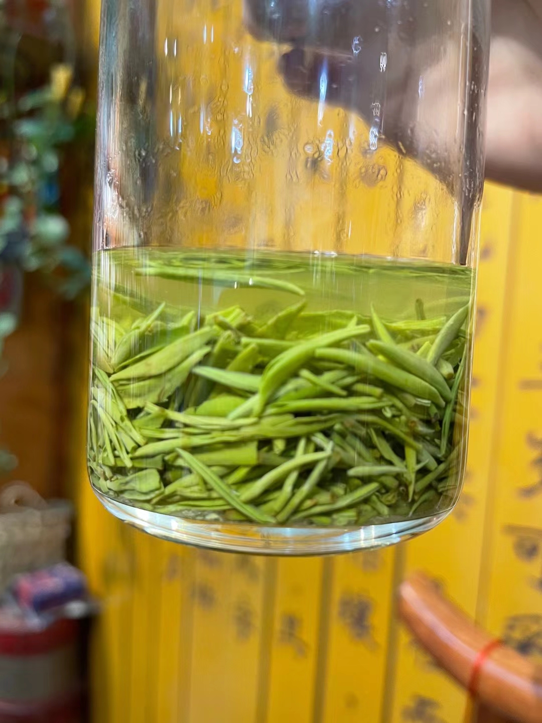 景谷白龙茶叶旗舰店：探索云南古树白茶的独特魅力与冲泡艺术(图1)