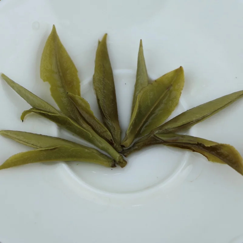 2017湄潭县茶叶节：探索贵州茶文化的独特魅力与产业发展(图1)