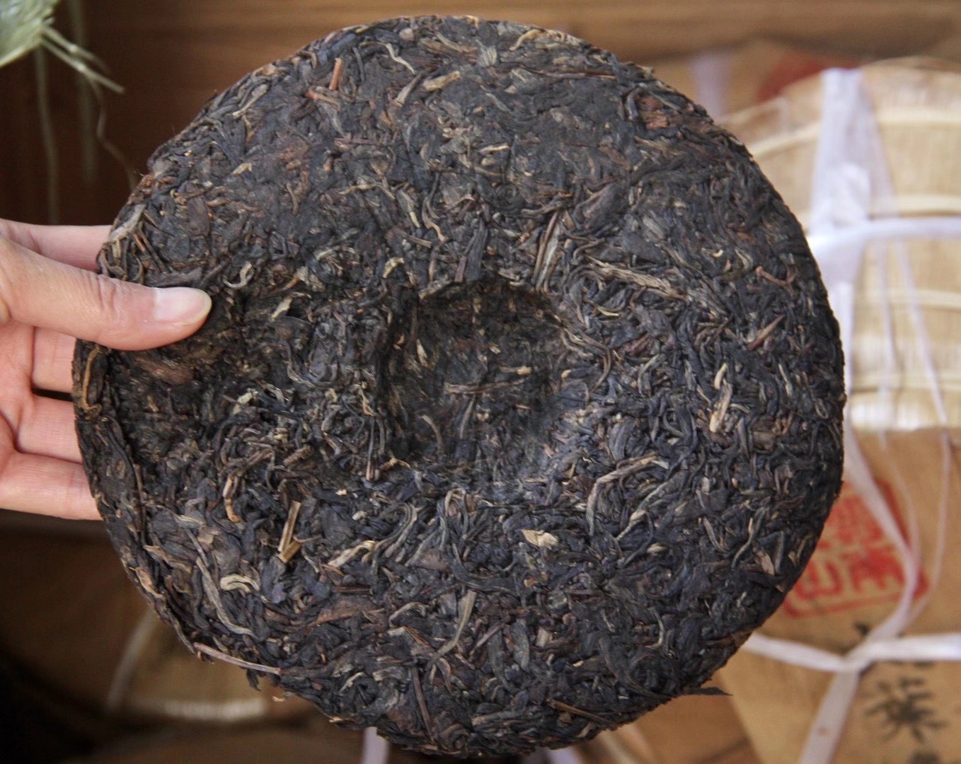 探索绿茶世界：揭秘龙井、碧螺春等名优绿茶的独特魅力(图1)