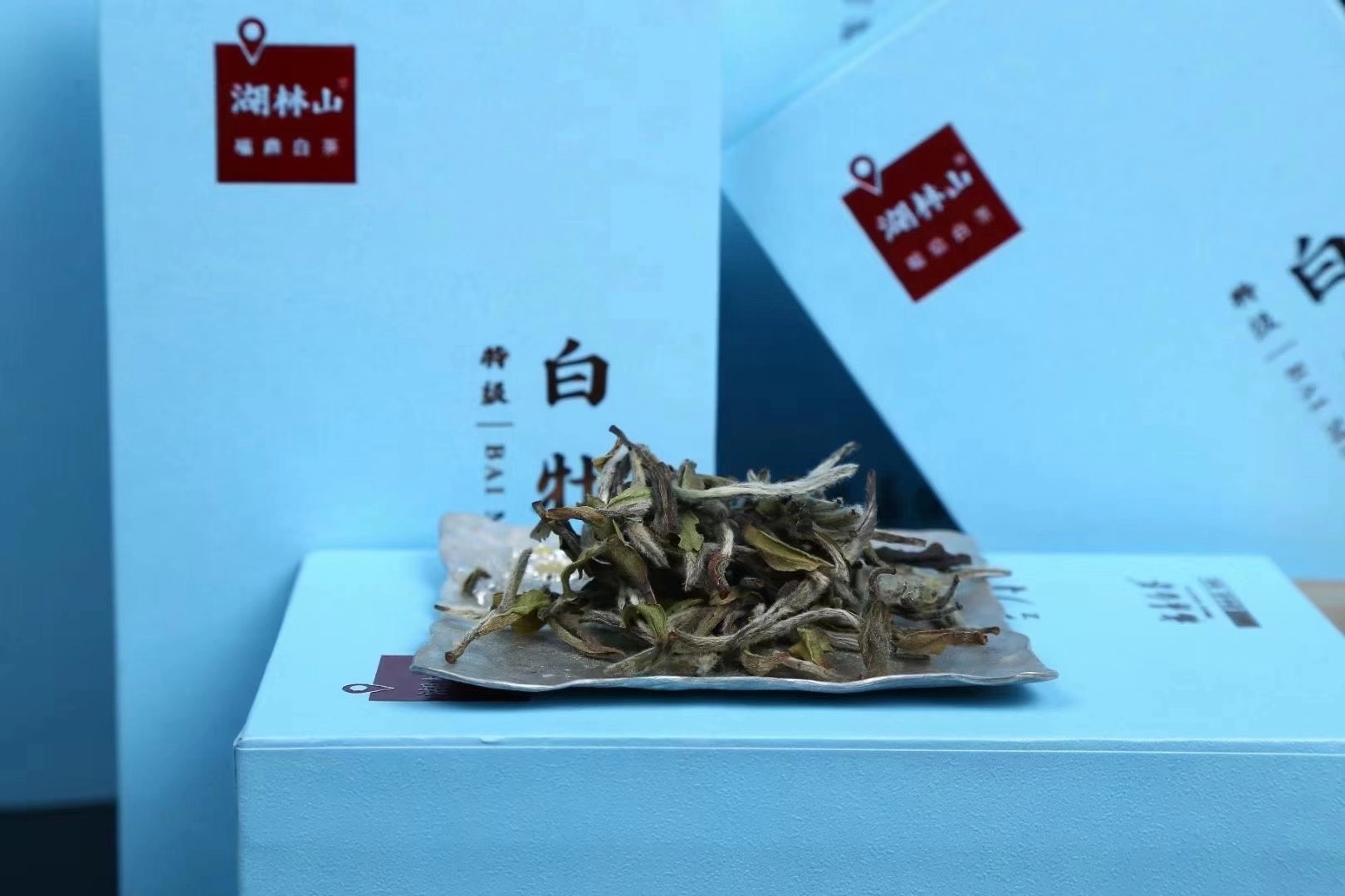 肾健康守护者：揭秘对肾脏有益的茶叶种类与科学依据(图1)