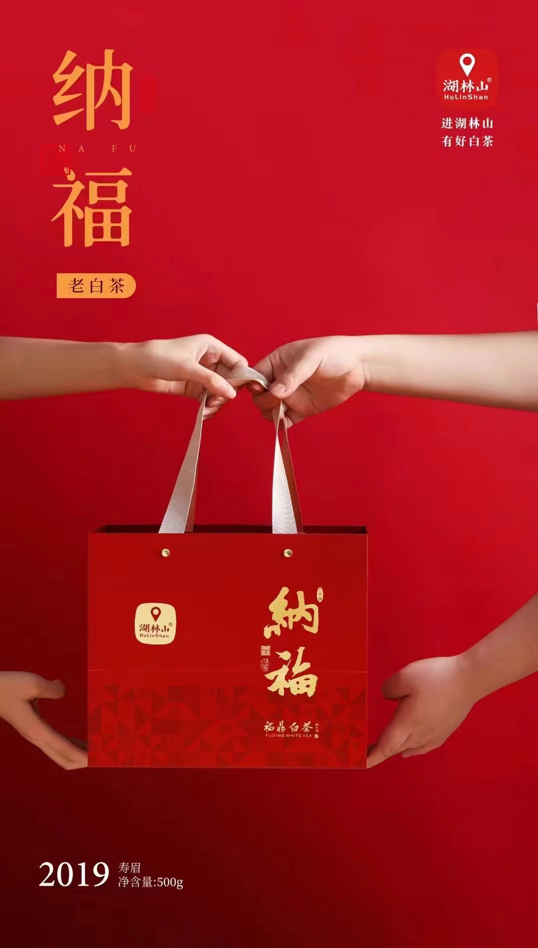 云海永兴茶叶品种全解析：价格、品质与市场趋势一览(图1)