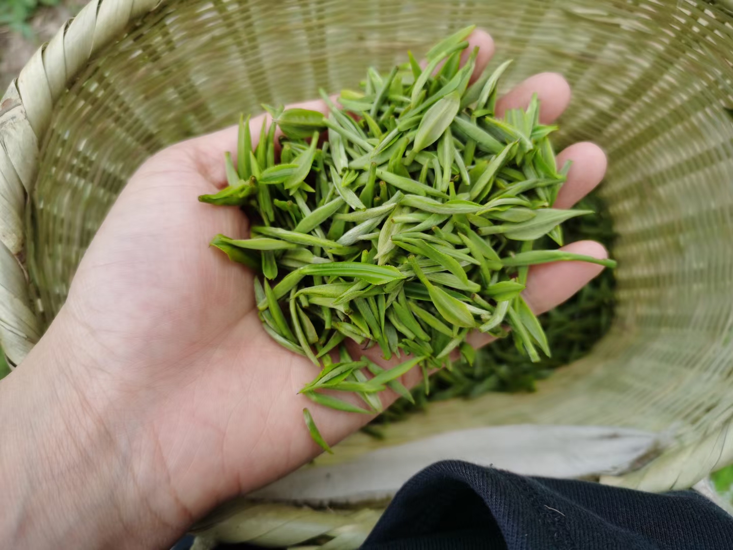 大理下关茶叶批发市场全攻略：优质茶叶的集散地(图1)