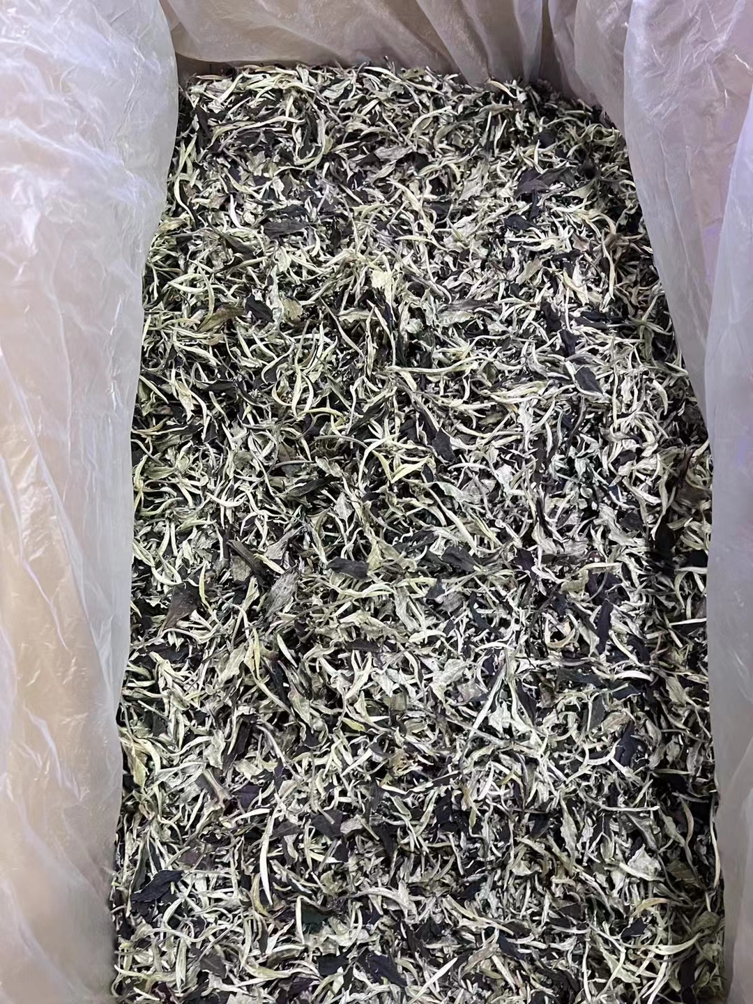 胃炎患者饮茶指南：哪些茶叶适合，哪些需避免？(图1)
