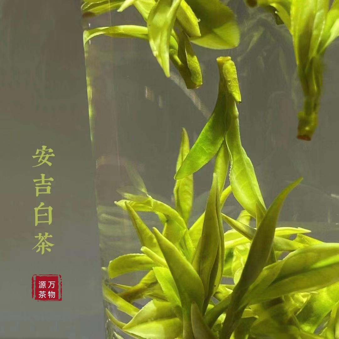 宋代茶叶贸易的繁荣：揭秘中国茶叶如何征服海外市场(图1)