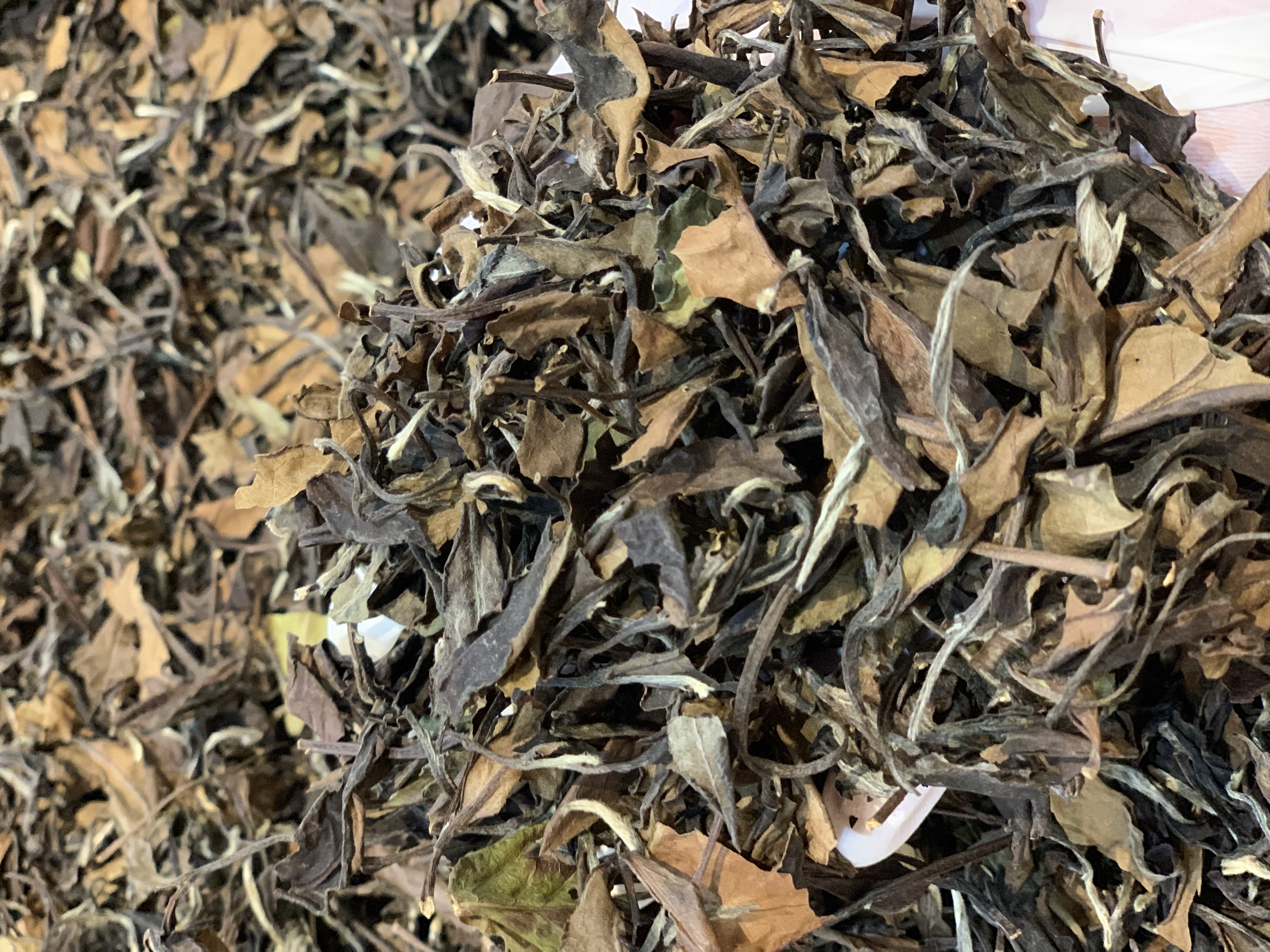 茶叶除味小妙招：如何用茶叶轻松去除冰箱异味(图1)