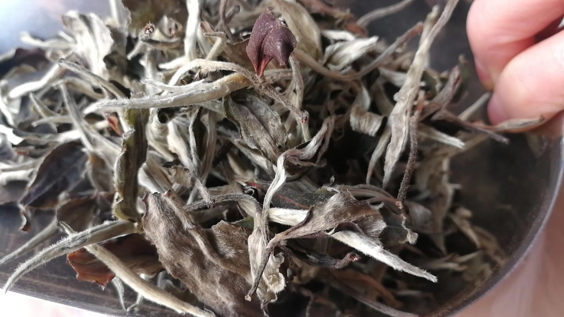 1克茶叶的奥秘：从重量到品质，全面解析茶叶的精华(图1)
