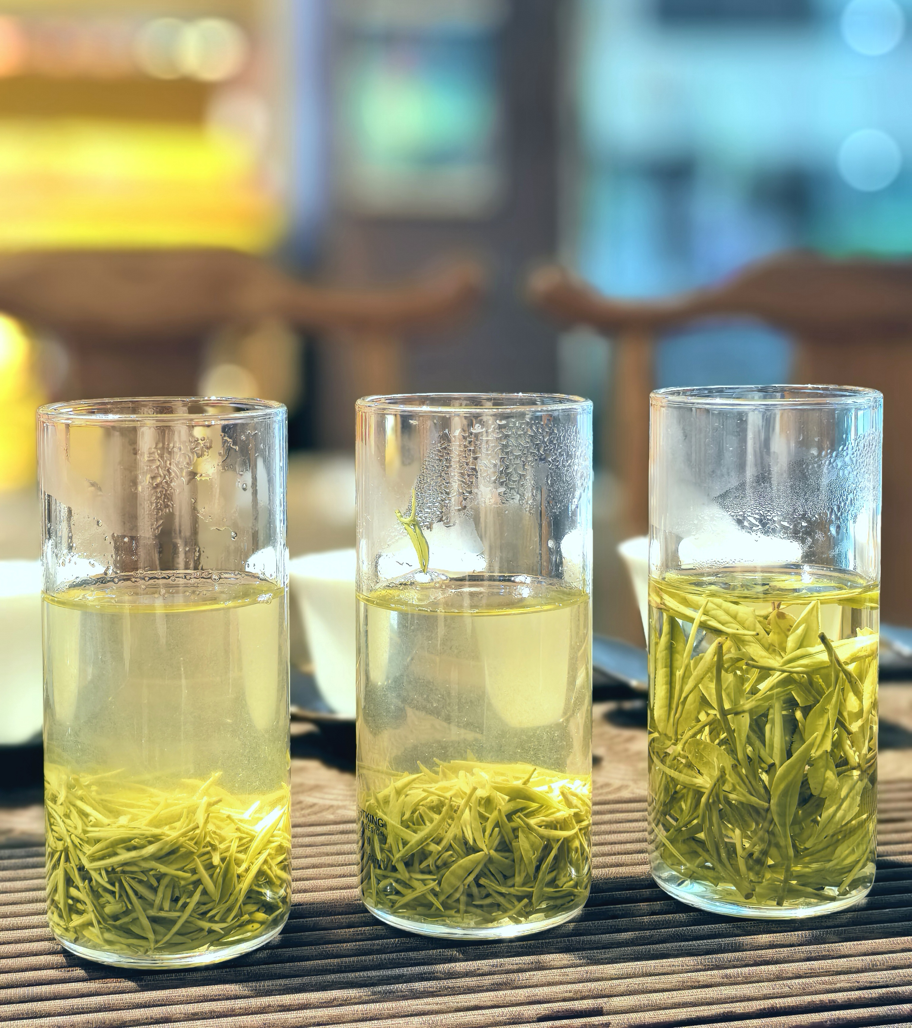 深入解析茶叶根系：从土壤到茶杯的奥秘(图1)