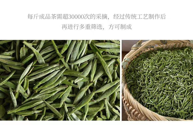 黄金拄茶叶：揭秘其独特制作工艺与品鉴技巧(图1)