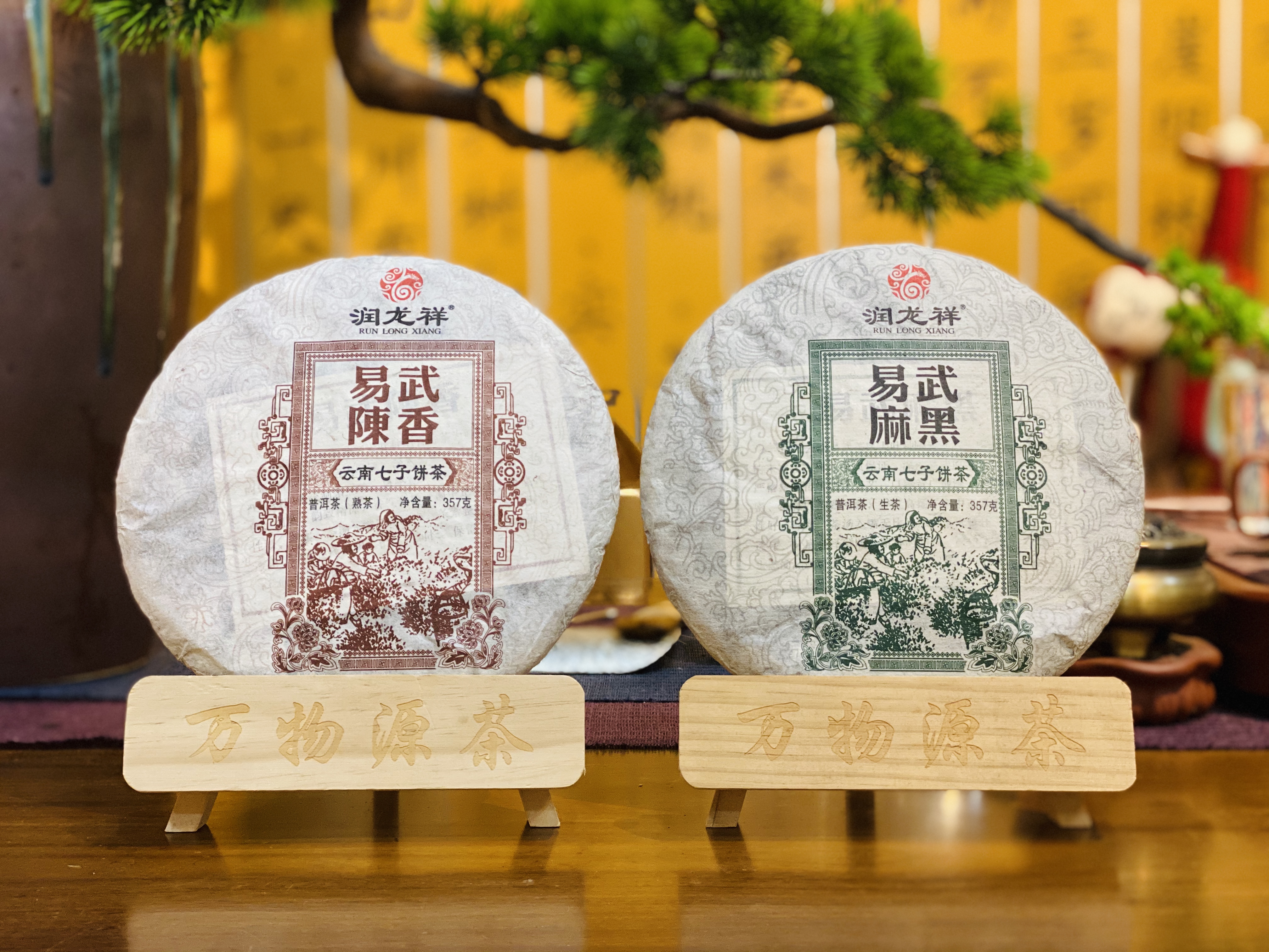 茶叶种植全攻略：从选种到收获，掌握每一步关键技巧(图1)