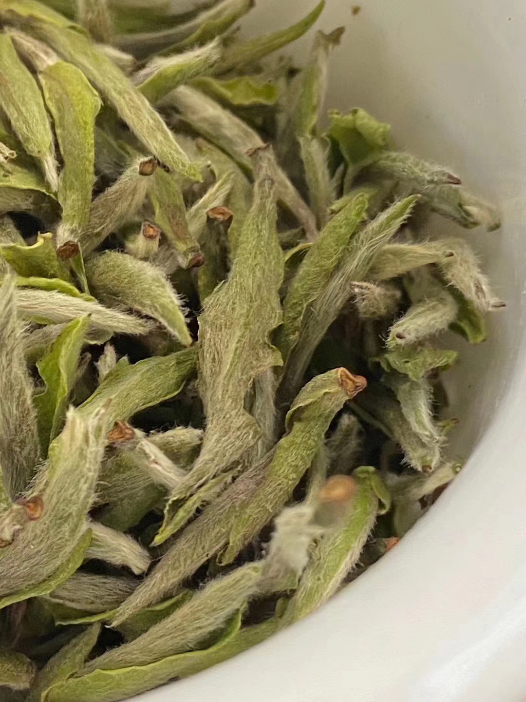 茶叶水泡牛骨：传统养生秘方的科学解析与健康益处(图1)