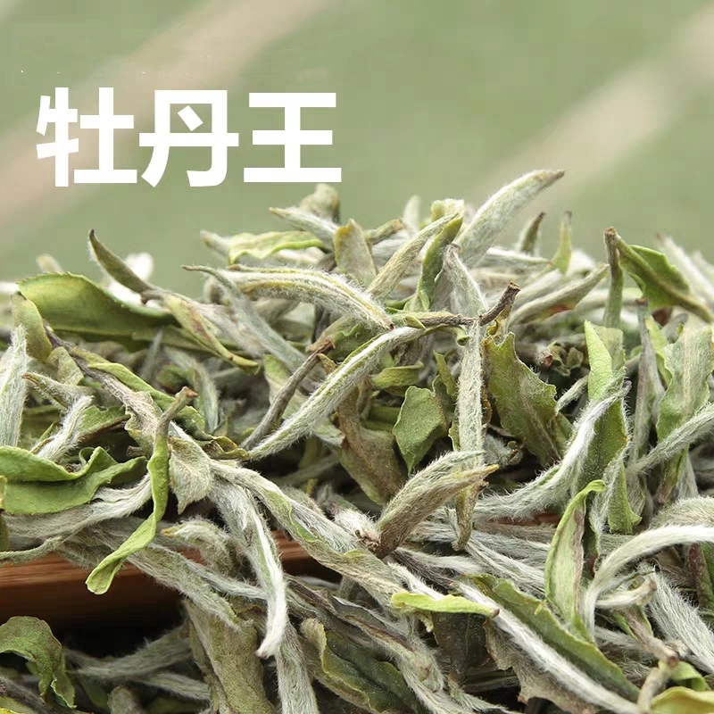 白茶探秘：揭秘中国白茶核心产区的独特魅力与品质奥秘(图1)