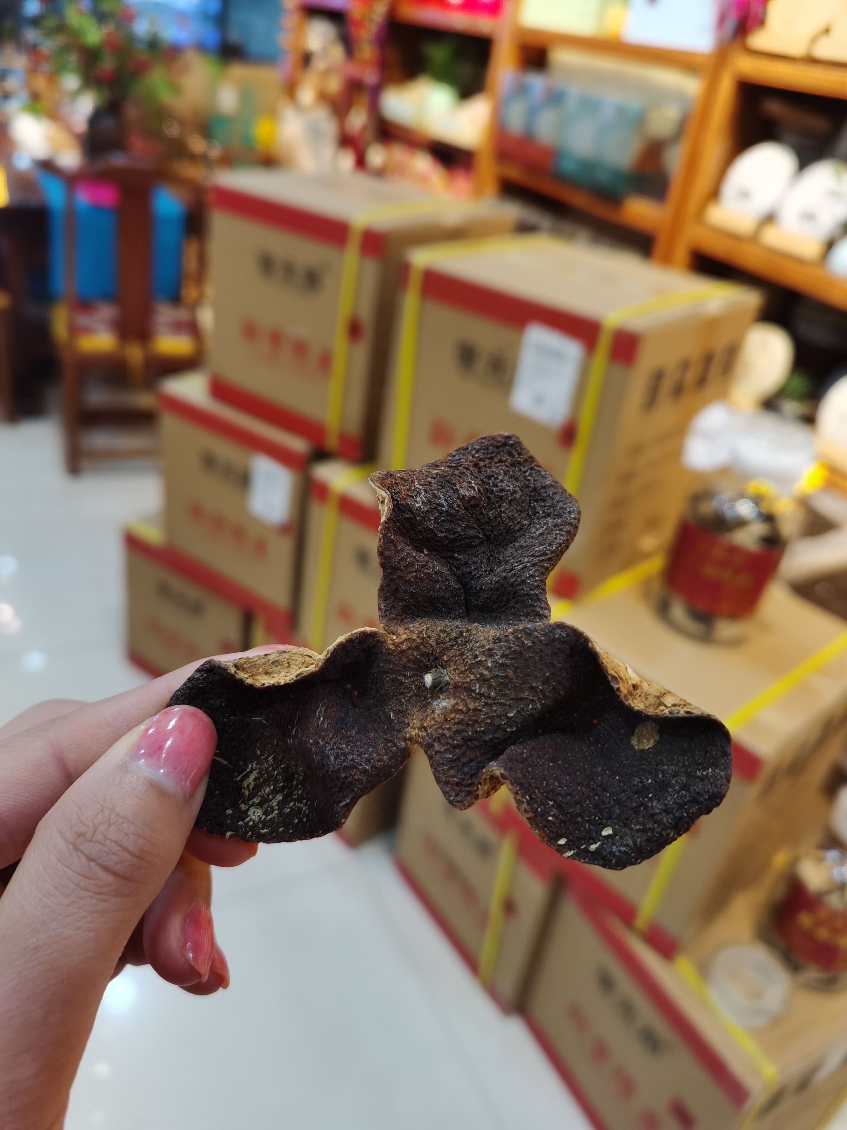 绿茶冲泡艺术：掌握后放茶叶的关键技巧(图1)