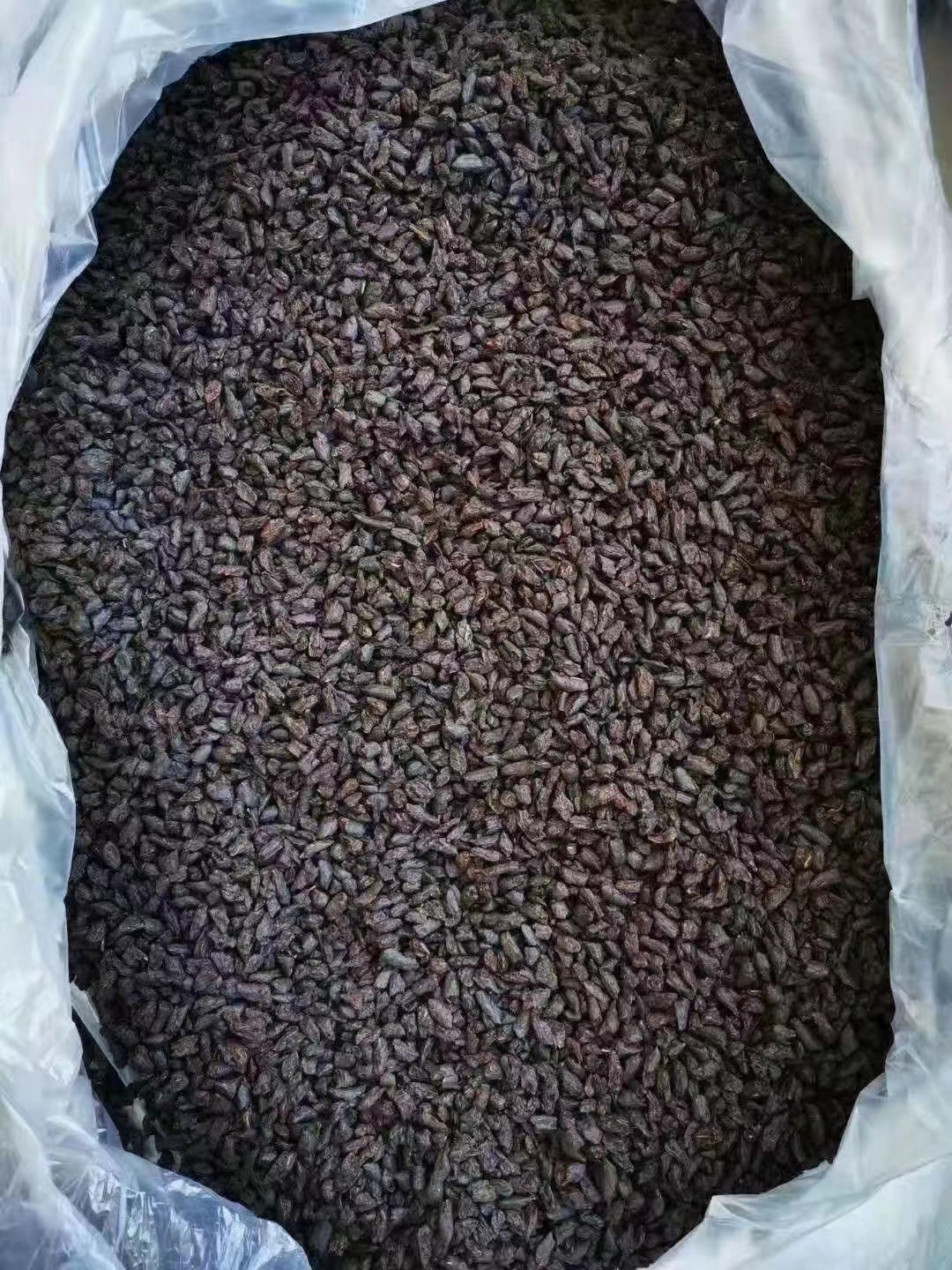 掌握茶叶揉捻技巧：从传统工艺到现代方法，全面提升茶叶品质(图1)
