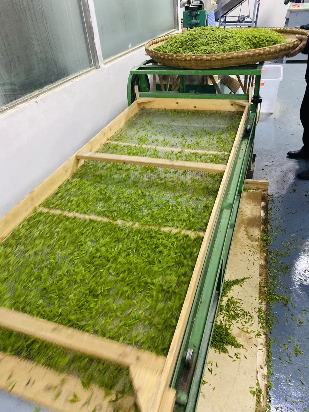 探索茶叶世界：精选茶叶图片与品鉴指南(图1)