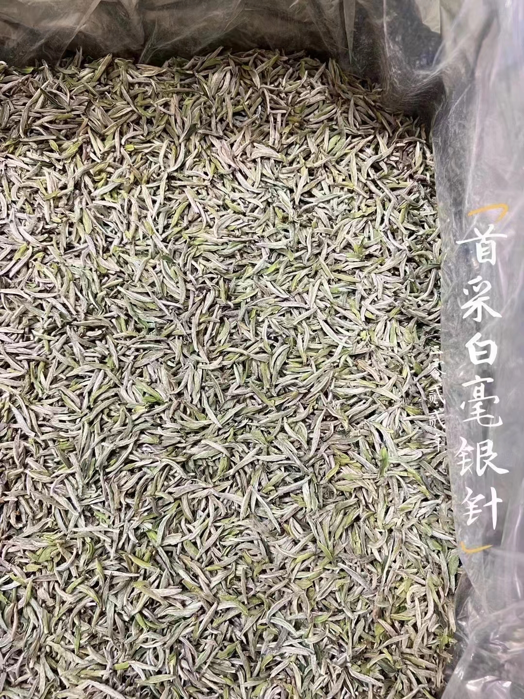 贵港茶叶产业深度解析：从传统工艺到现代市场的转型之路(图1)
