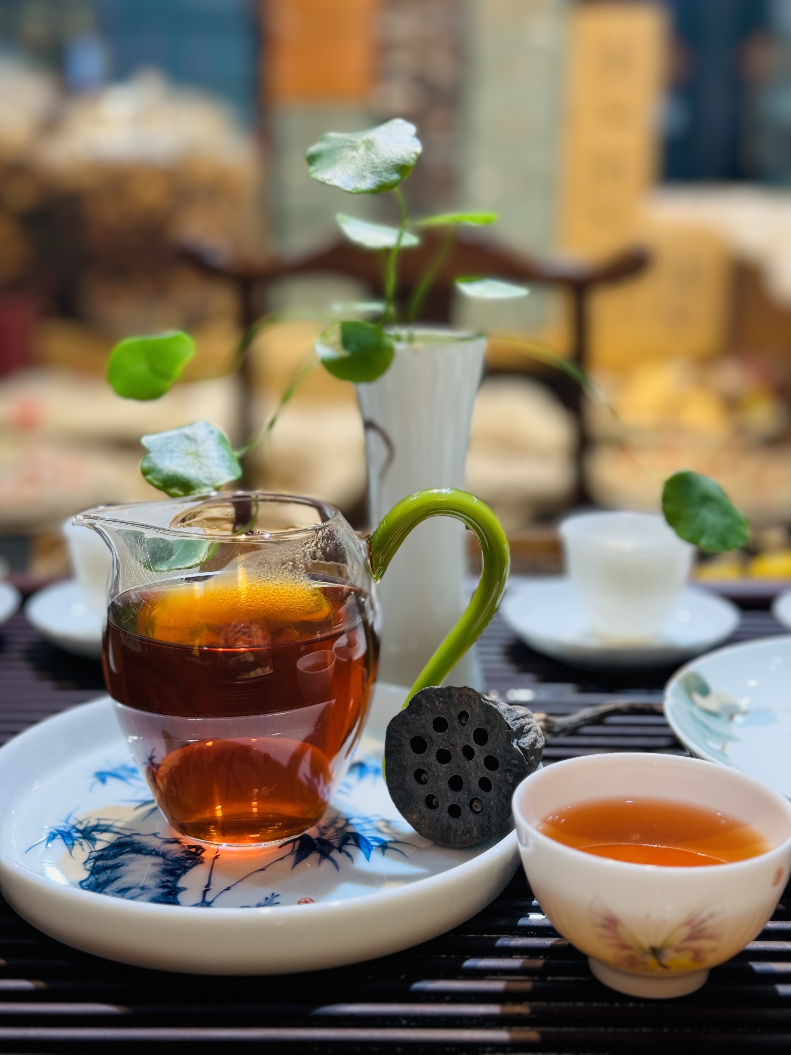 非洲茶叶豆的独特魅力：从种植到品鉴的全方位解析(图1)