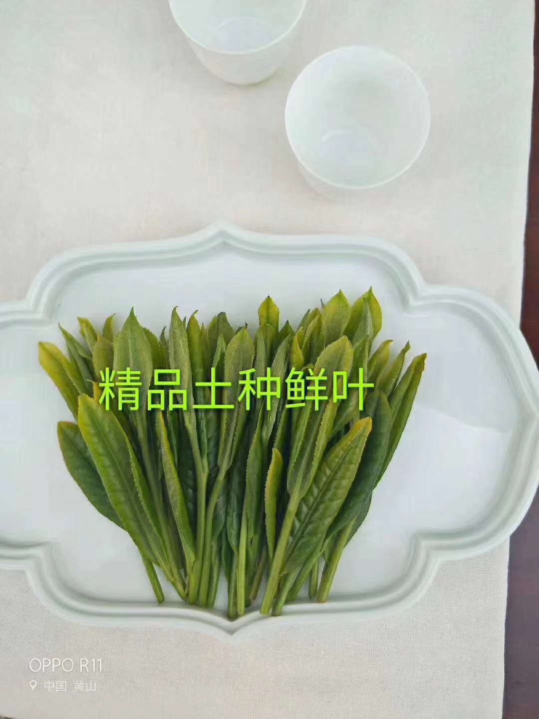 掌握混合茶叶的黄金比例：提升茶饮风味的科学指南(图1)