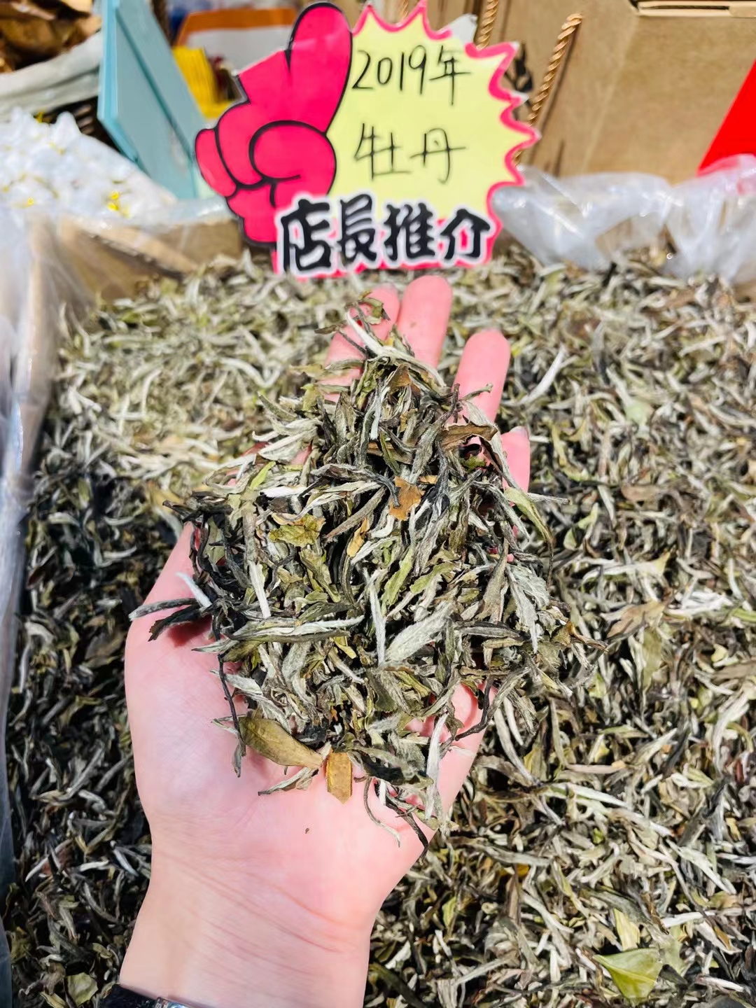 探秘布朗山古树茶：从千年古树到杯中佳茗的传奇之旅(图1)