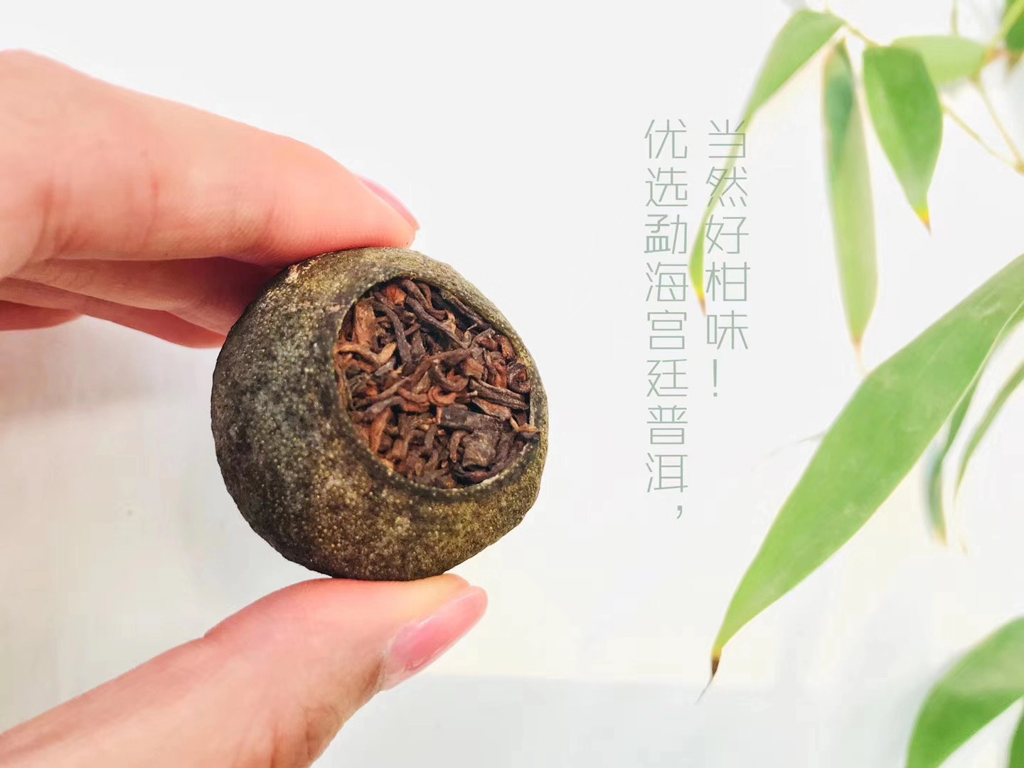 安徽名茶探秘：黄山毛峰与六安瓜片的独特魅力与冲泡技巧(图1)