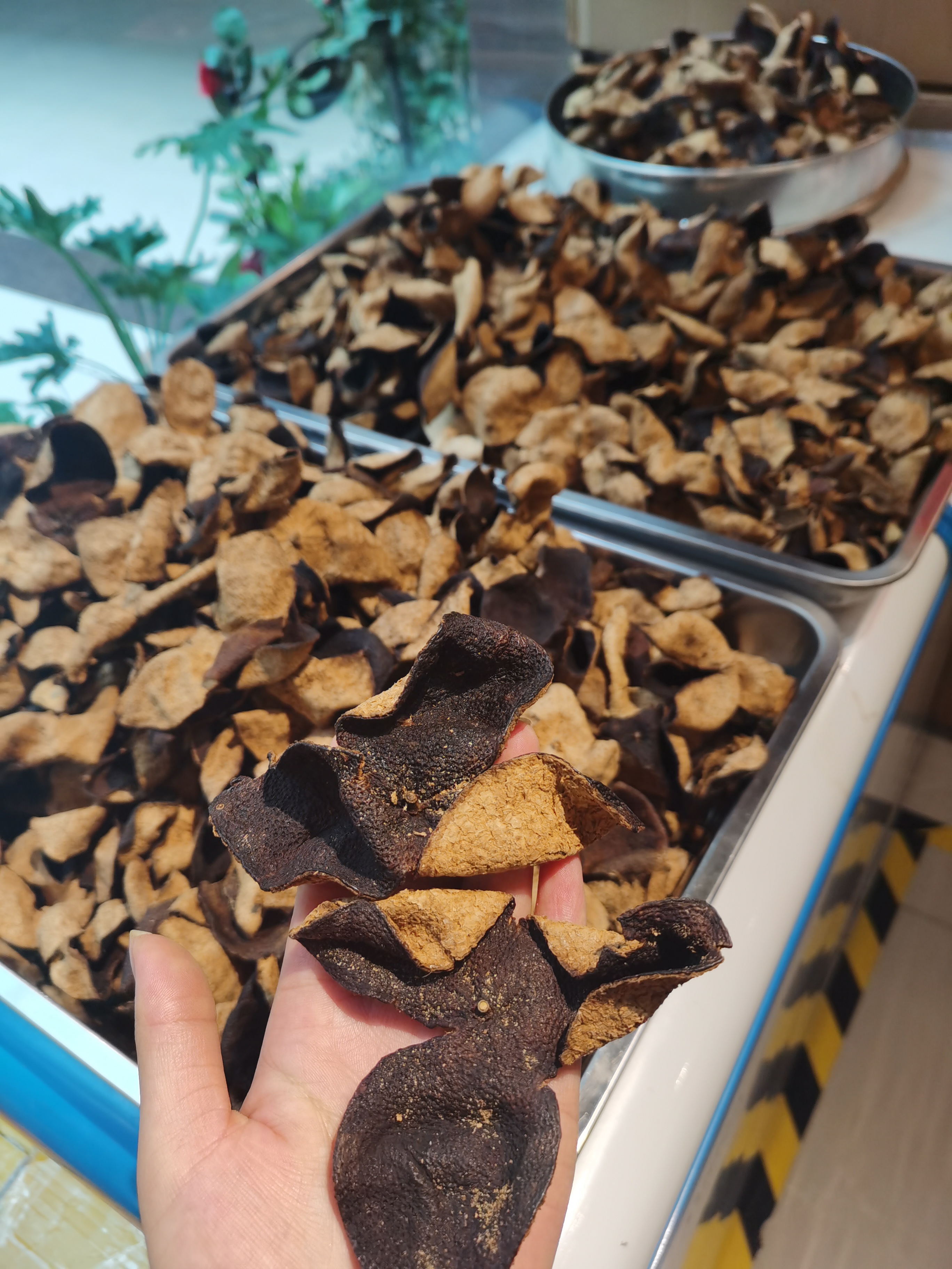 重庆沱茶：山城特色，品味独特的发酵艺术(图1)
