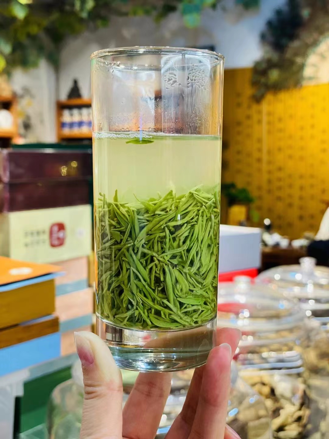 茶叶种植全攻略：从选地到采摘，掌握茶叶栽培的关键步骤(图1)