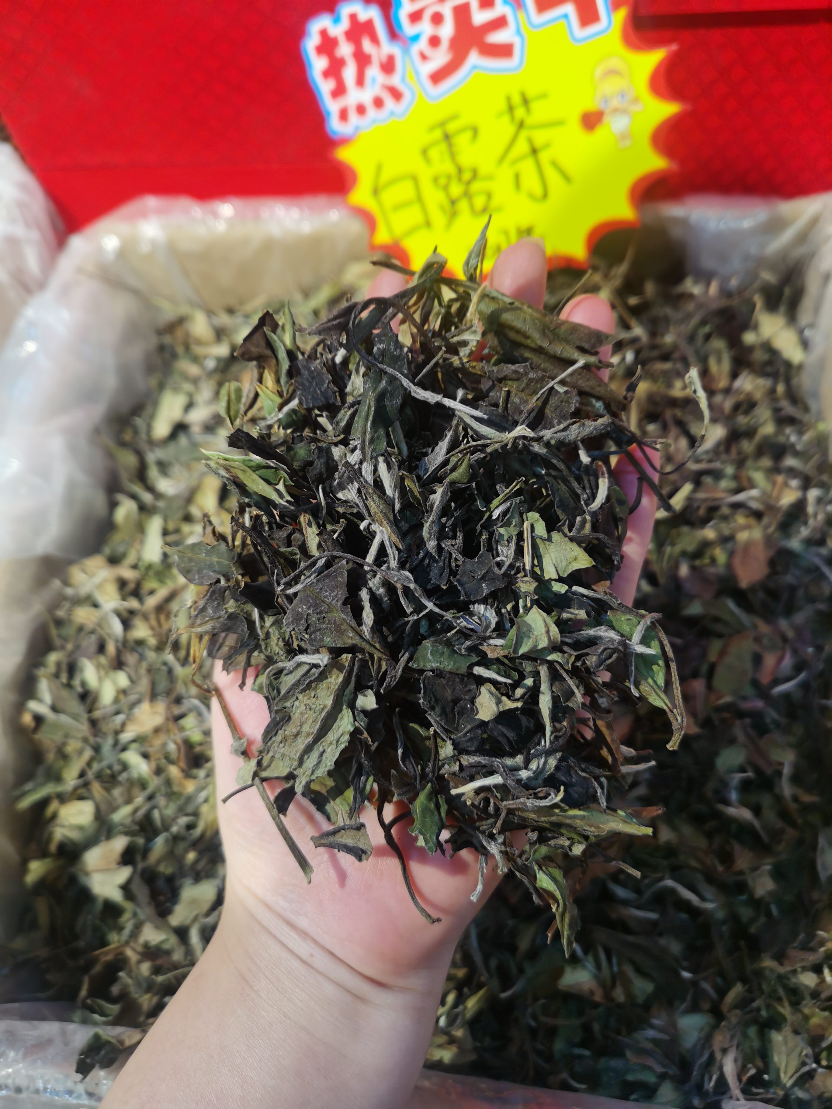 定清茶叶：探秘其独特制作工艺与健康益处(图1)