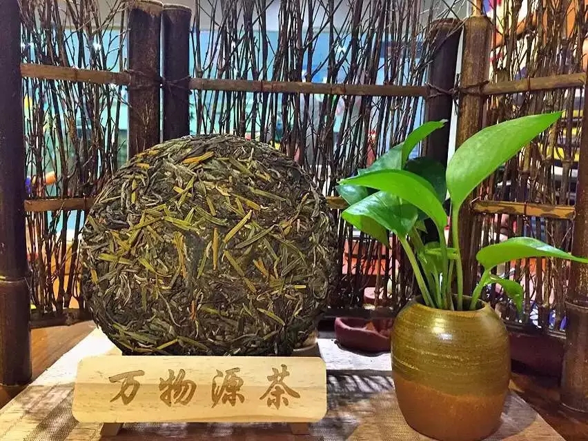 茶叶审评全攻略：从外观到口感，专业品鉴步骤详解(图1)