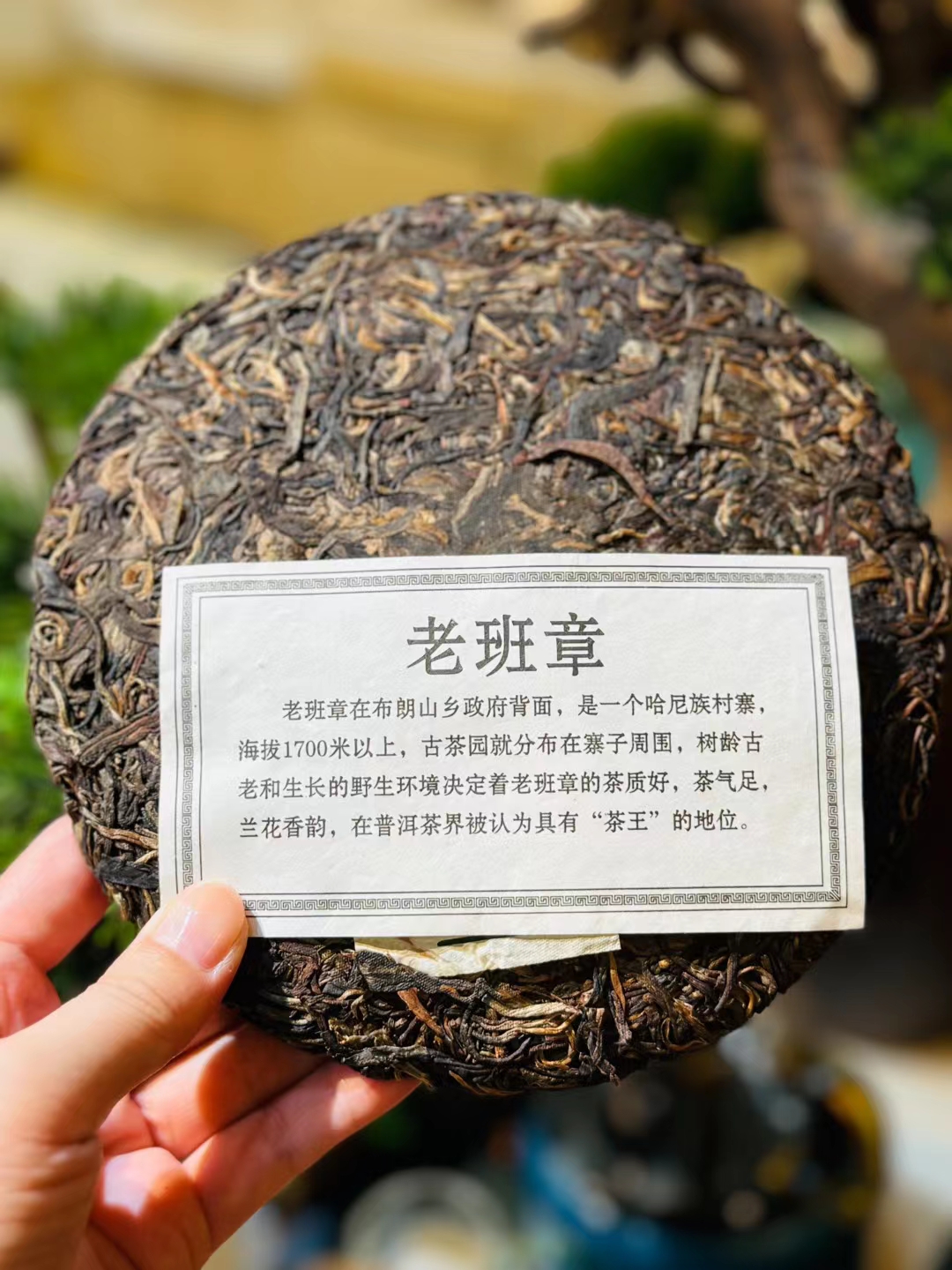 QS认证茶叶全解析：从产地到餐桌的严格标准(图1)
