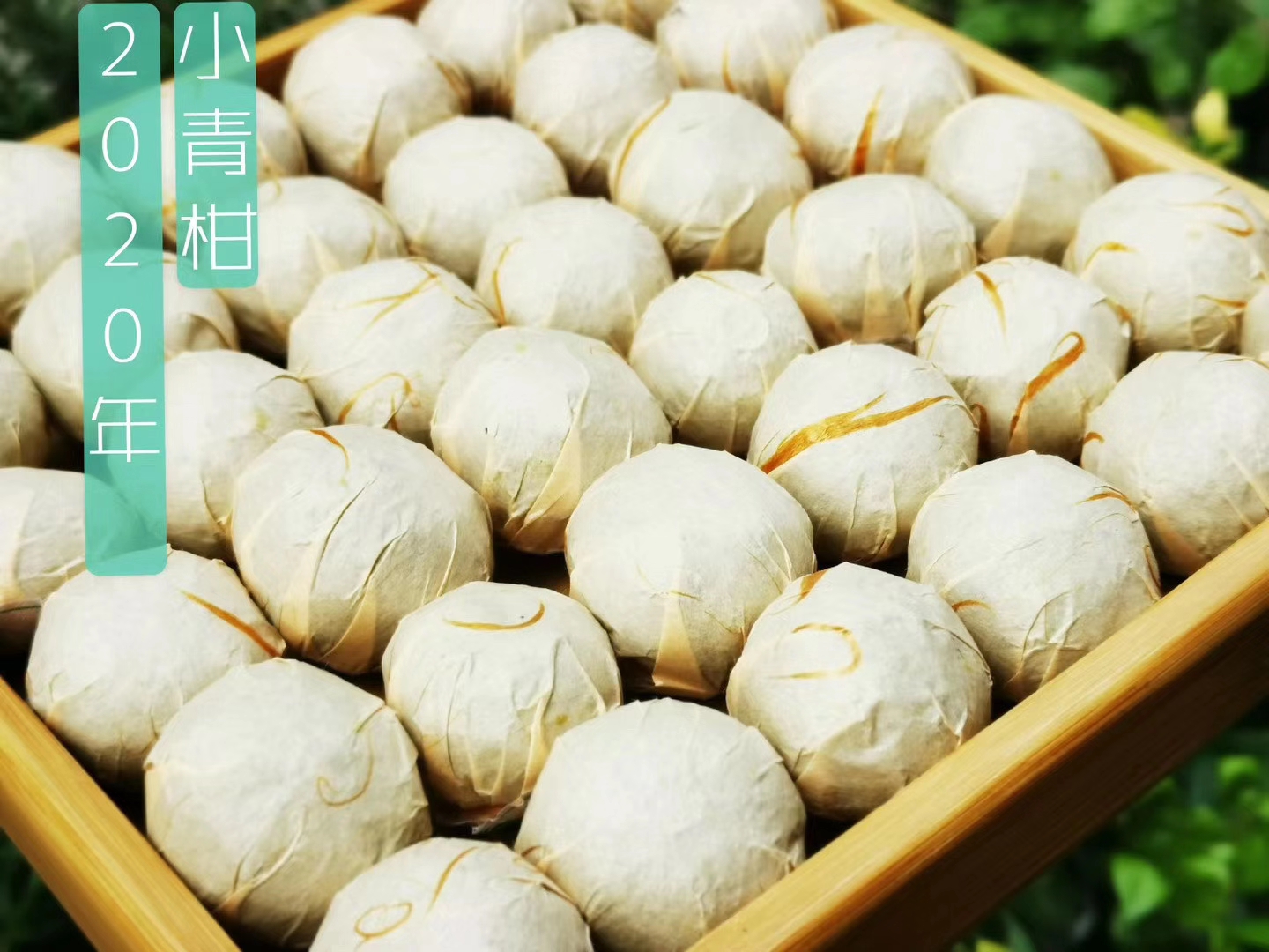 茶叶青叶干枯的原因与防治：专家解析关键因素与解决方案(图1)
