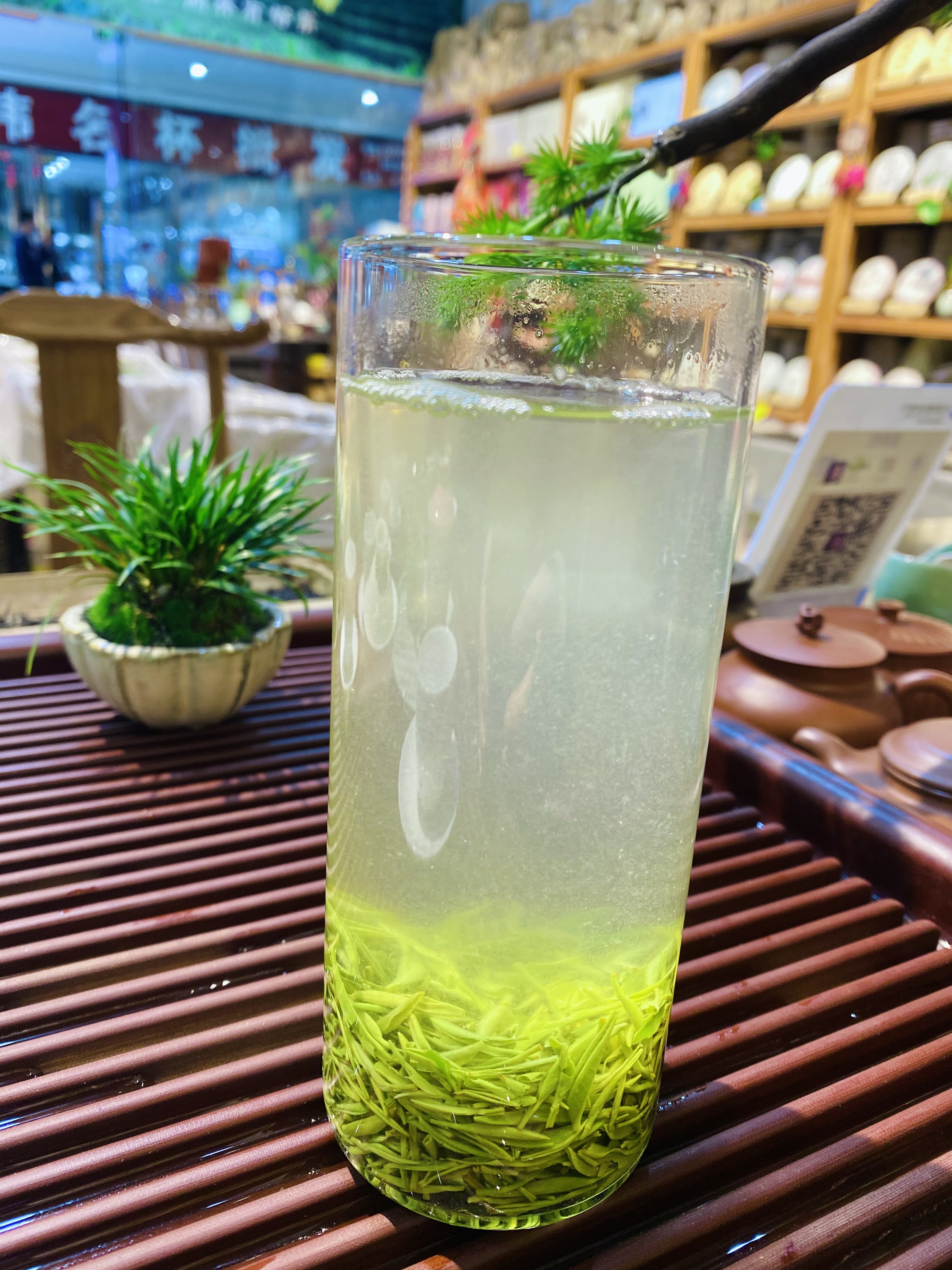 探索广西茶叶社团：揭秘当地茶文化的独特魅力与传承(图1)