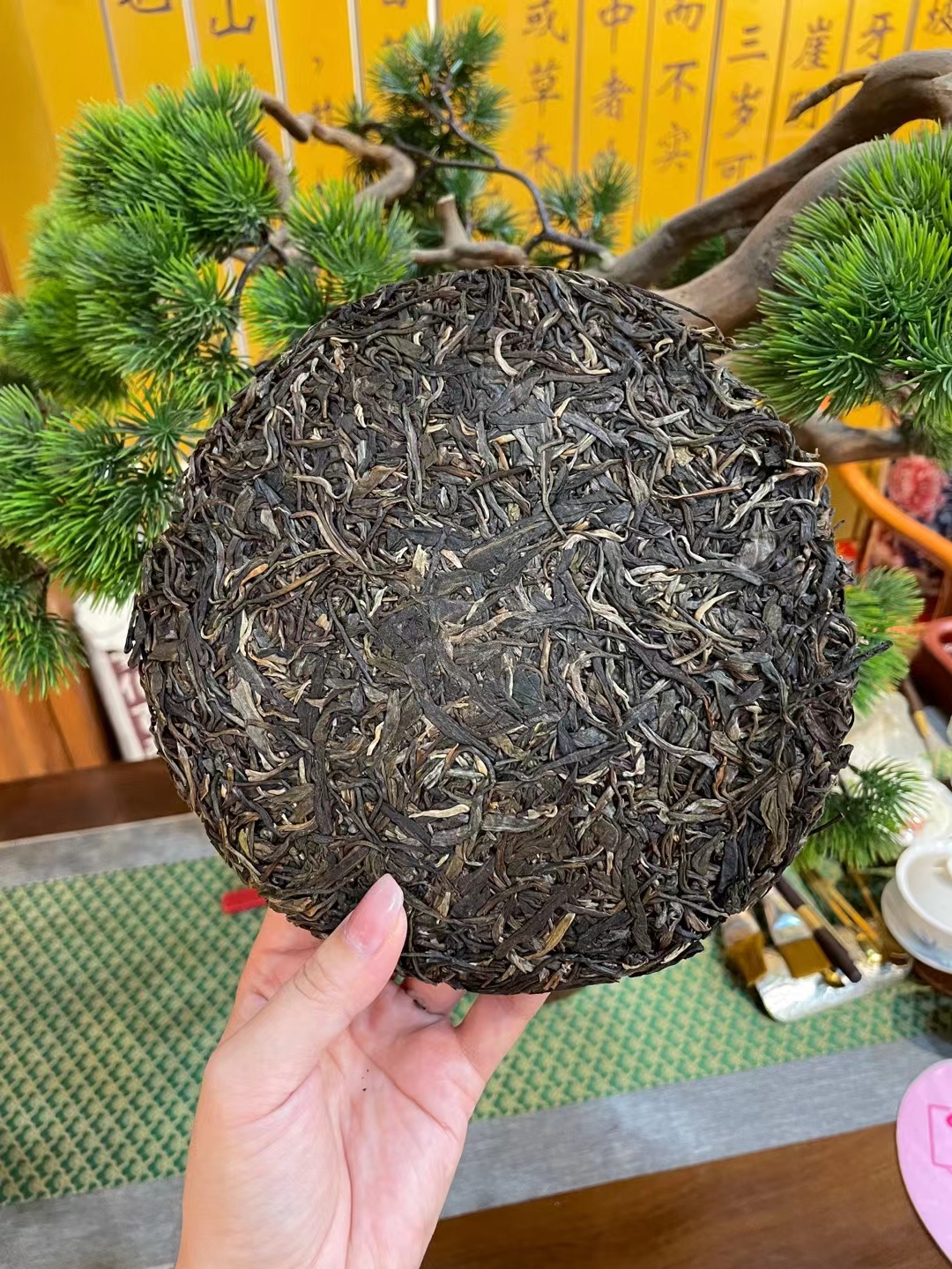全球茶叶博览会：探索茶叶文化的国际盛会(图1)