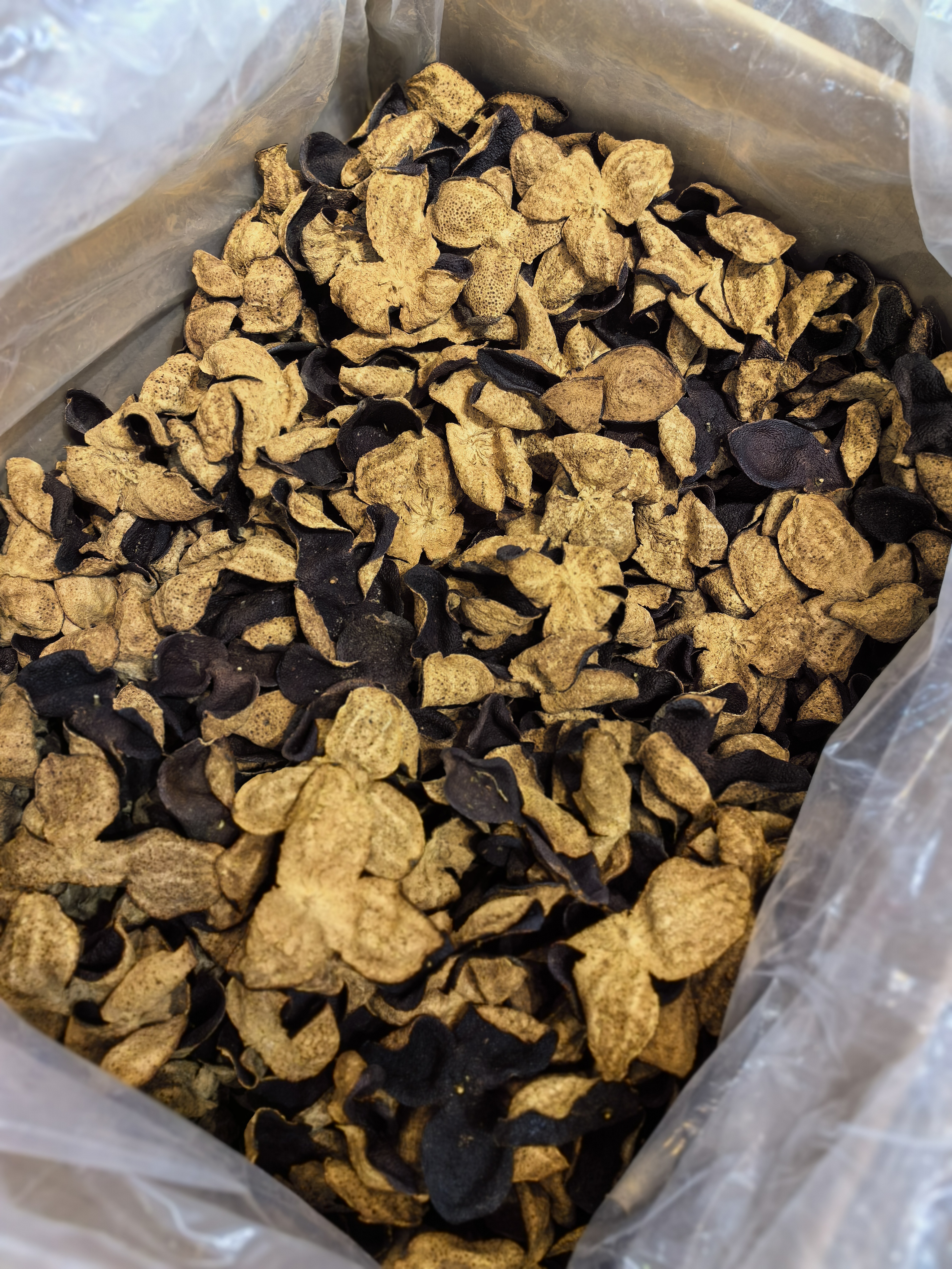 茶叶的生命之旅：从嫩芽到香茗的完美蜕变(图1)