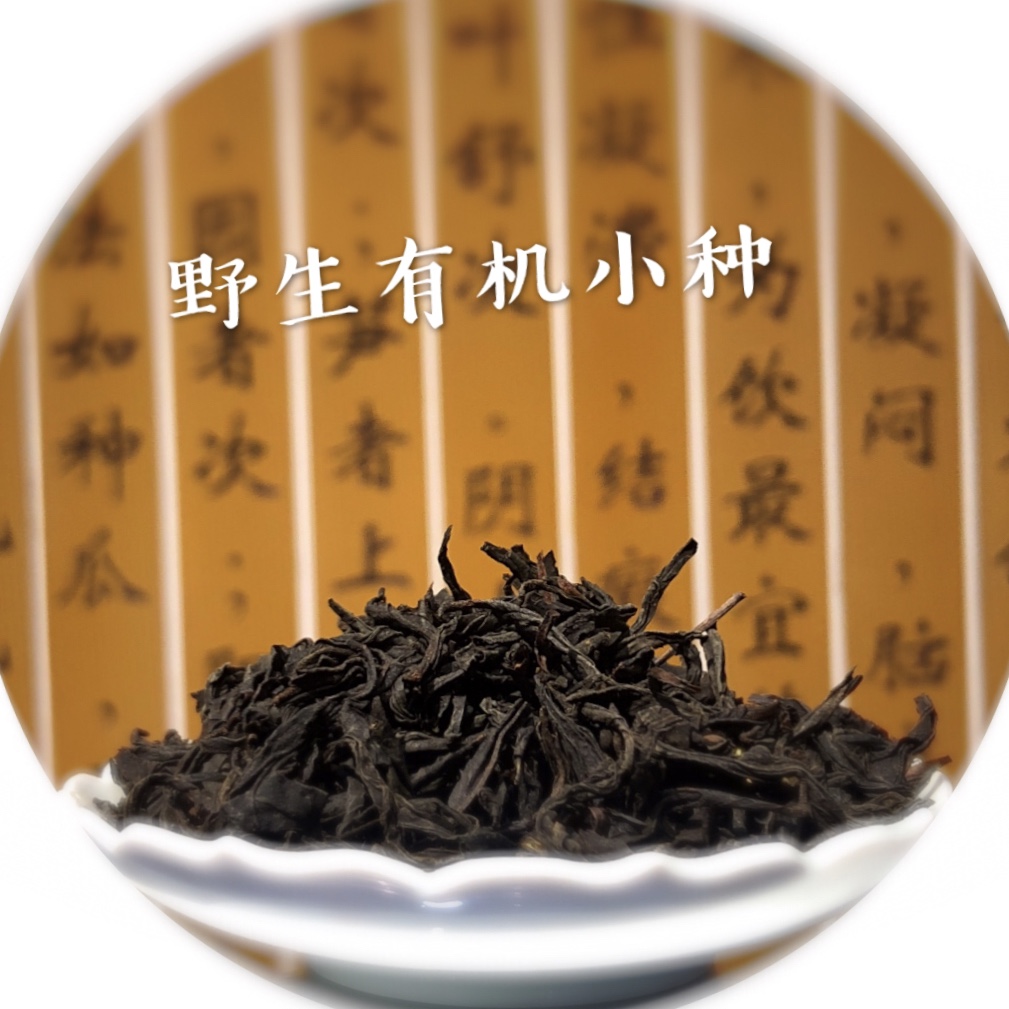 揭秘茶叶真伪：从外观到口感，专家教你如何辨别假茶(图1)
