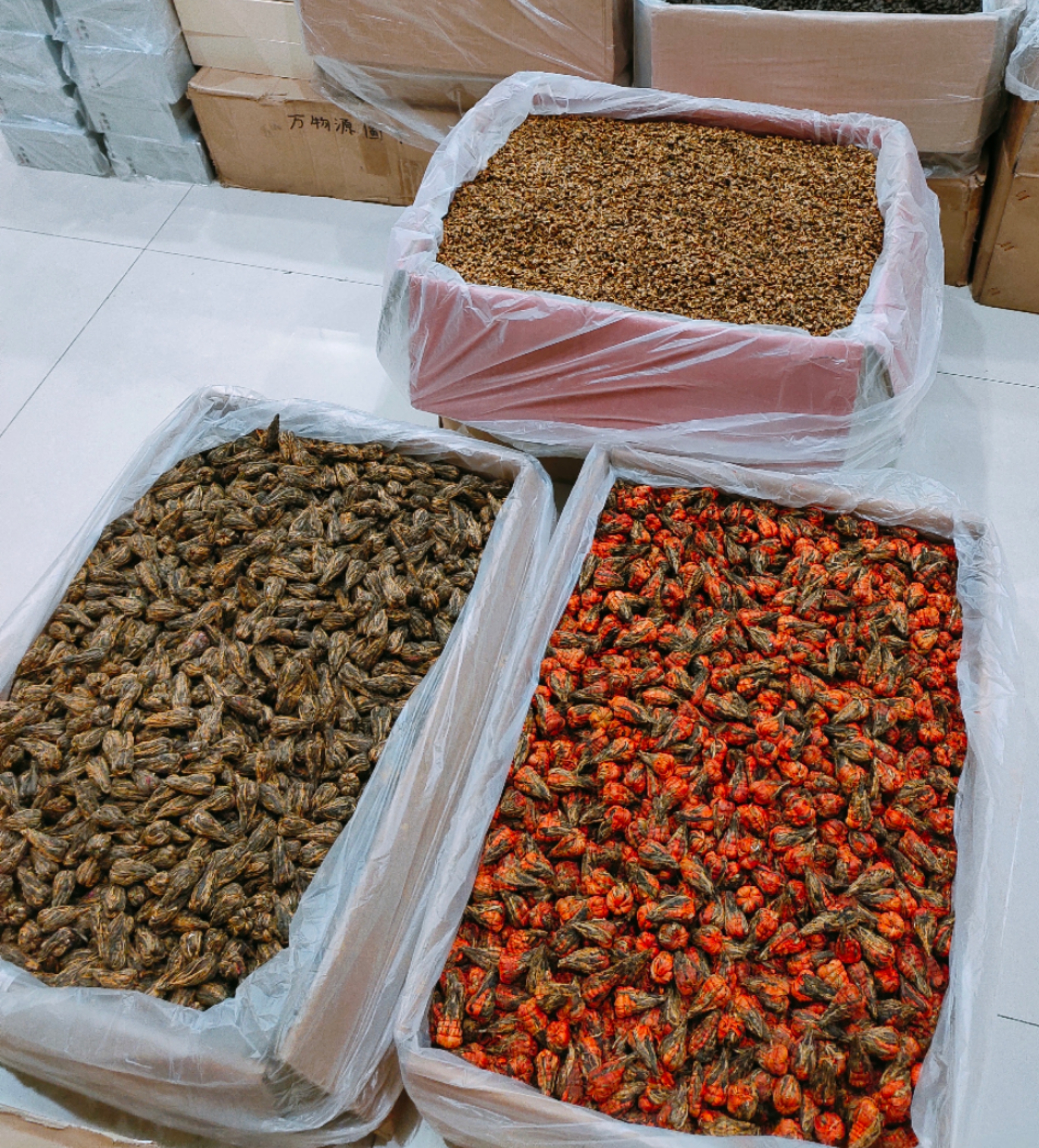 茶叶防伪批次编码：如何通过编码识别茶叶真伪与品质(图1)