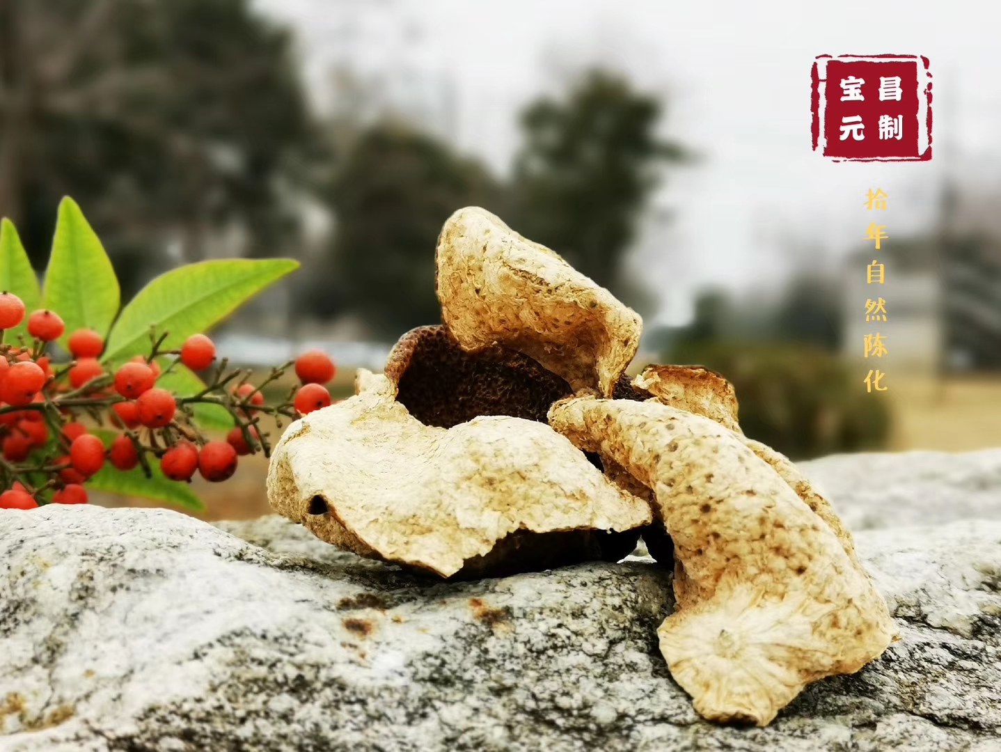 探索全球茶叶交易市场：从产地到消费者的完整指南(图1)