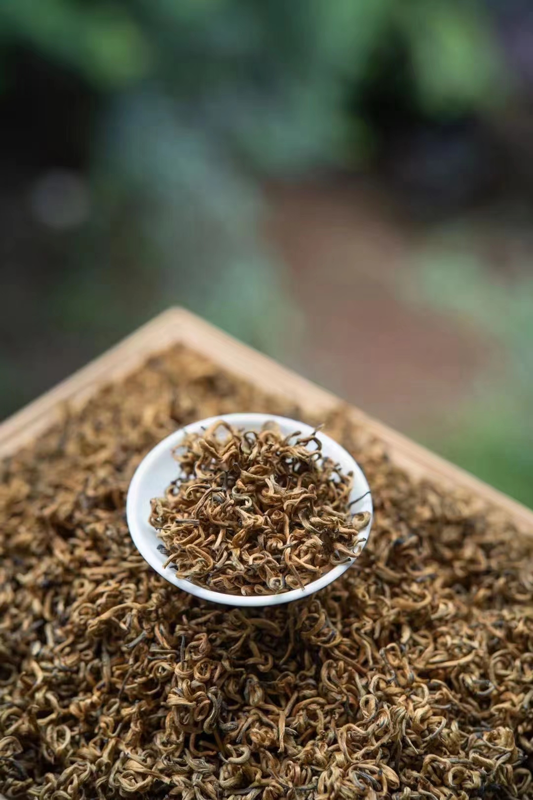 台湾高山茗茶探秘：从海拔到口感，全面解析顶级茶叶的独特魅力(图1)