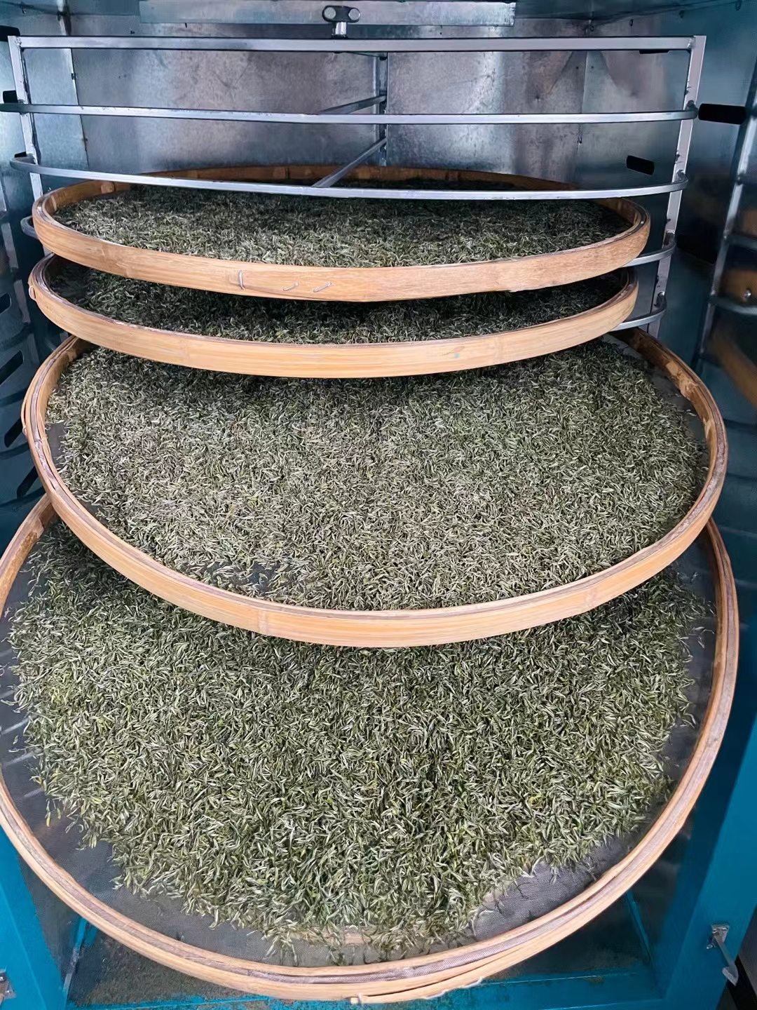 茶叶中的天然抗过敏成分：如何通过饮茶改善过敏体质(图1)