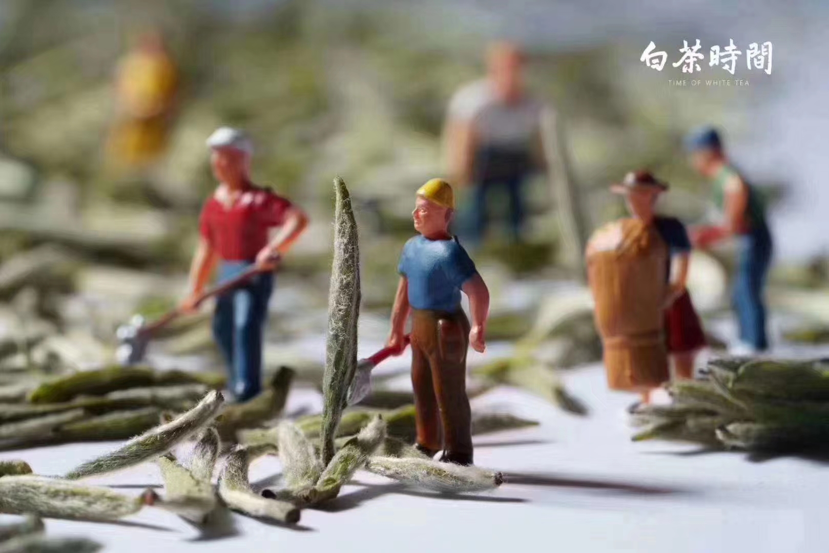 淡季茶叶销售策略：如何利用季节性特点提升销量(图1)