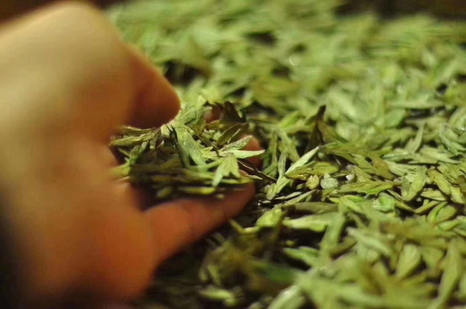 沙井茶具与茶叶的完美搭配：探索传统与现代的融合之道(图1)