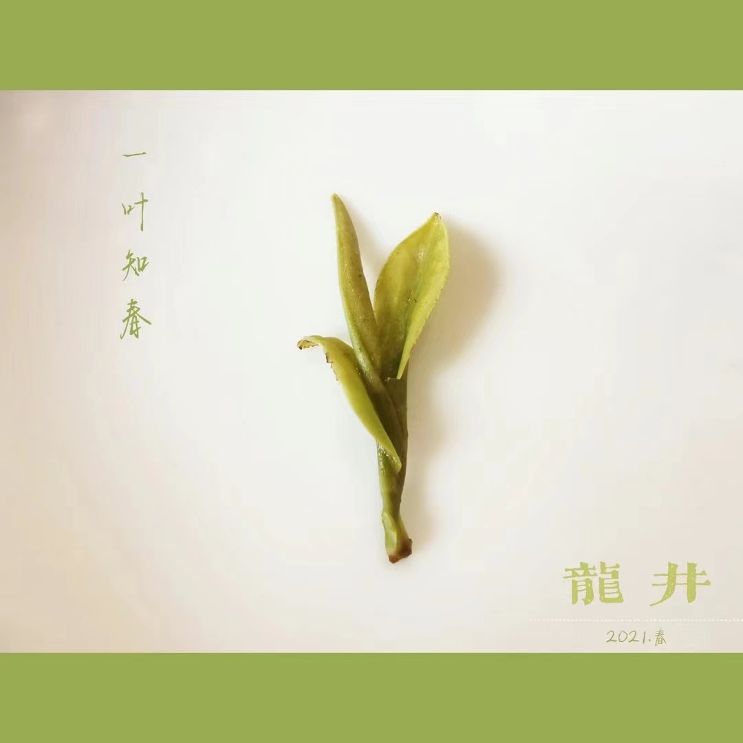 气象因素如何影响茶叶品质：从温度到降水的科学解析(图1)