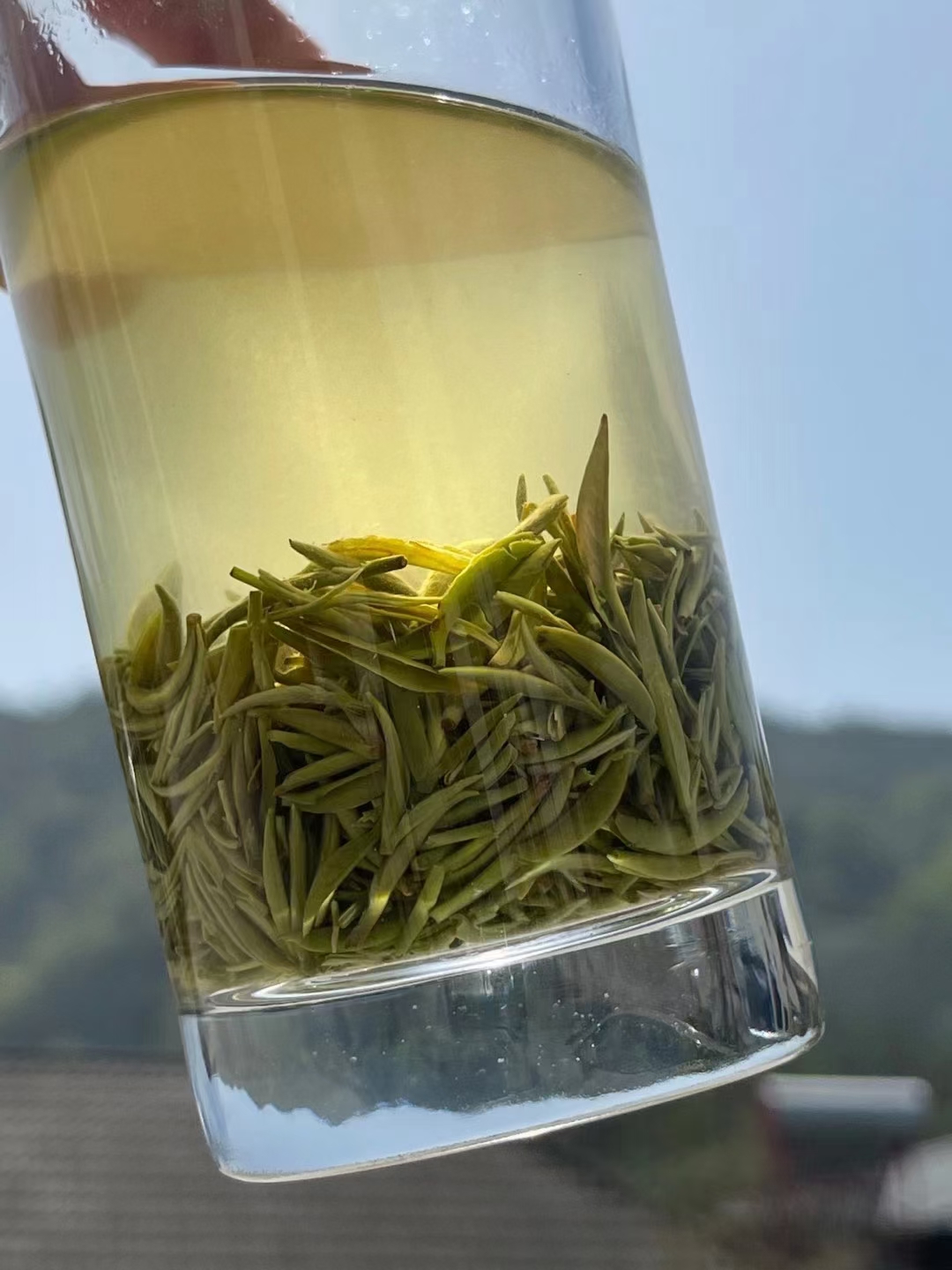 茶锈的秘密：它对茶叶品质的影响与科学解析(图1)