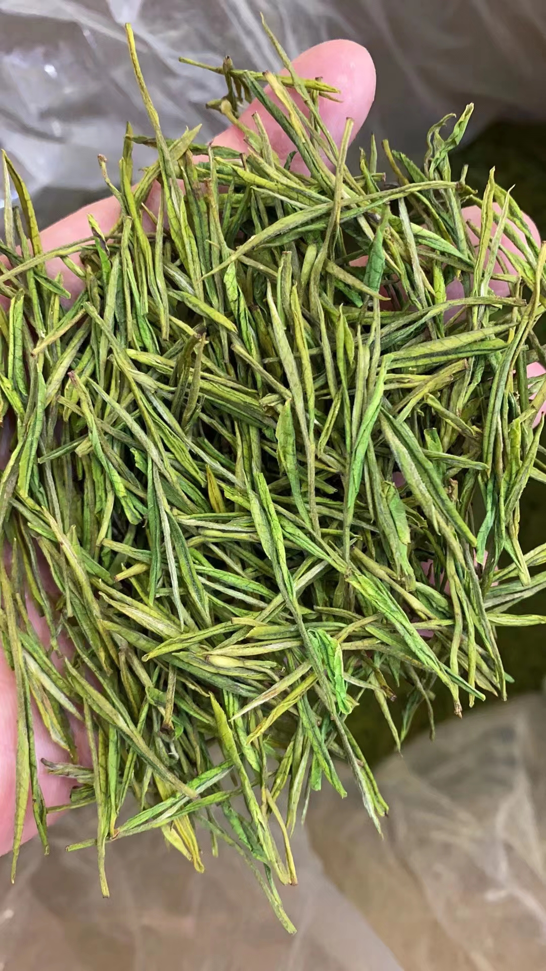 揭秘茶叶黑班病：成因、防治与茶叶品质的影响(图1)